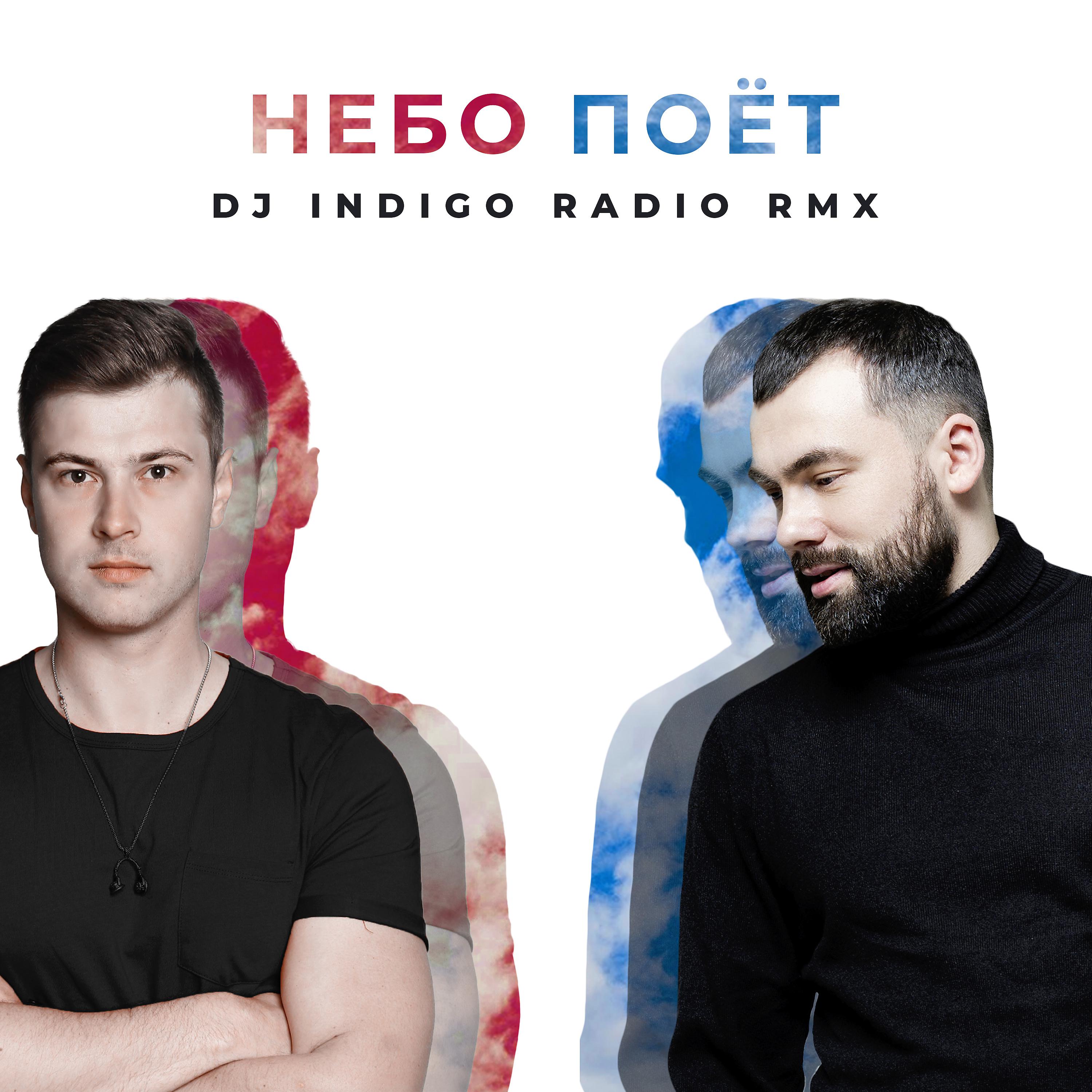 Постер альбома Небо поет (DJ INDIGO Radio Rmx)