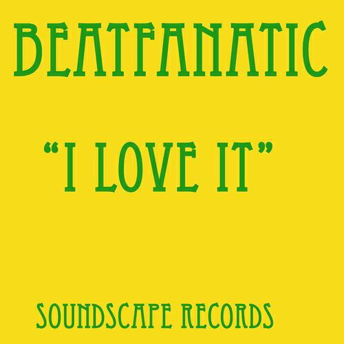 Beatfanatic - Robots (Daniel Savio Skwee Remix)