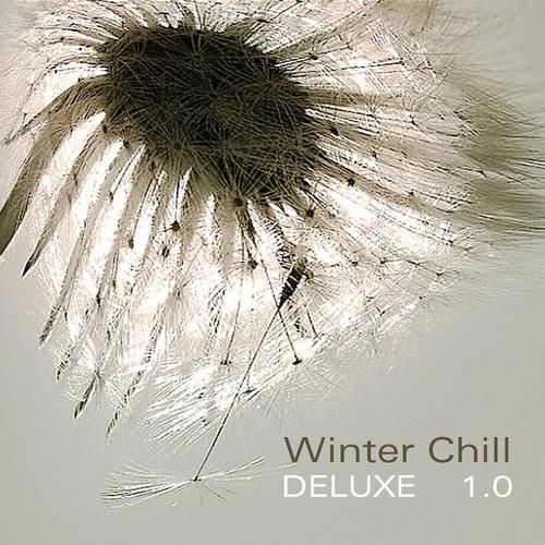 Постер альбома Winter Chill Deluxe 1.0