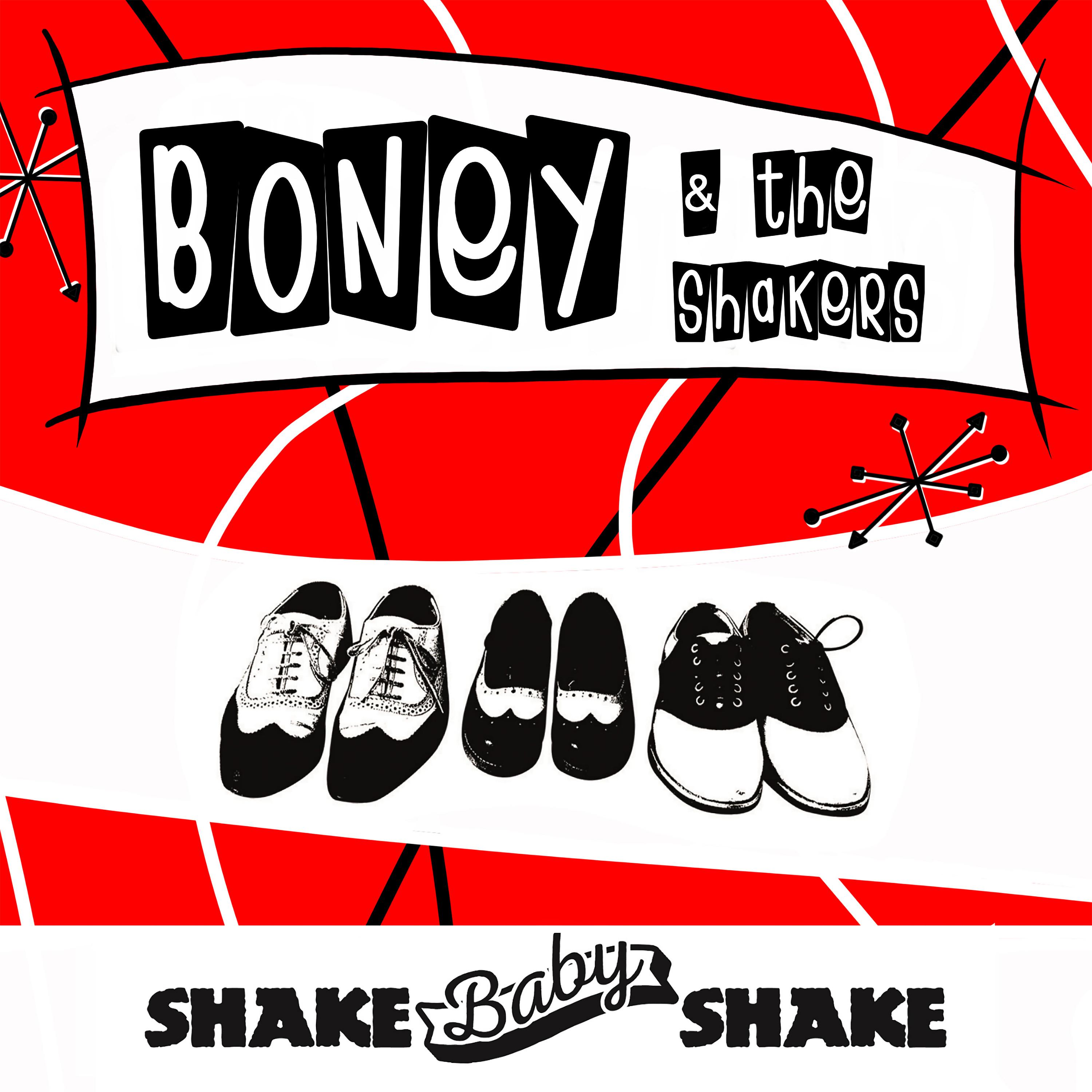 Постер альбома Shake Baby Shake