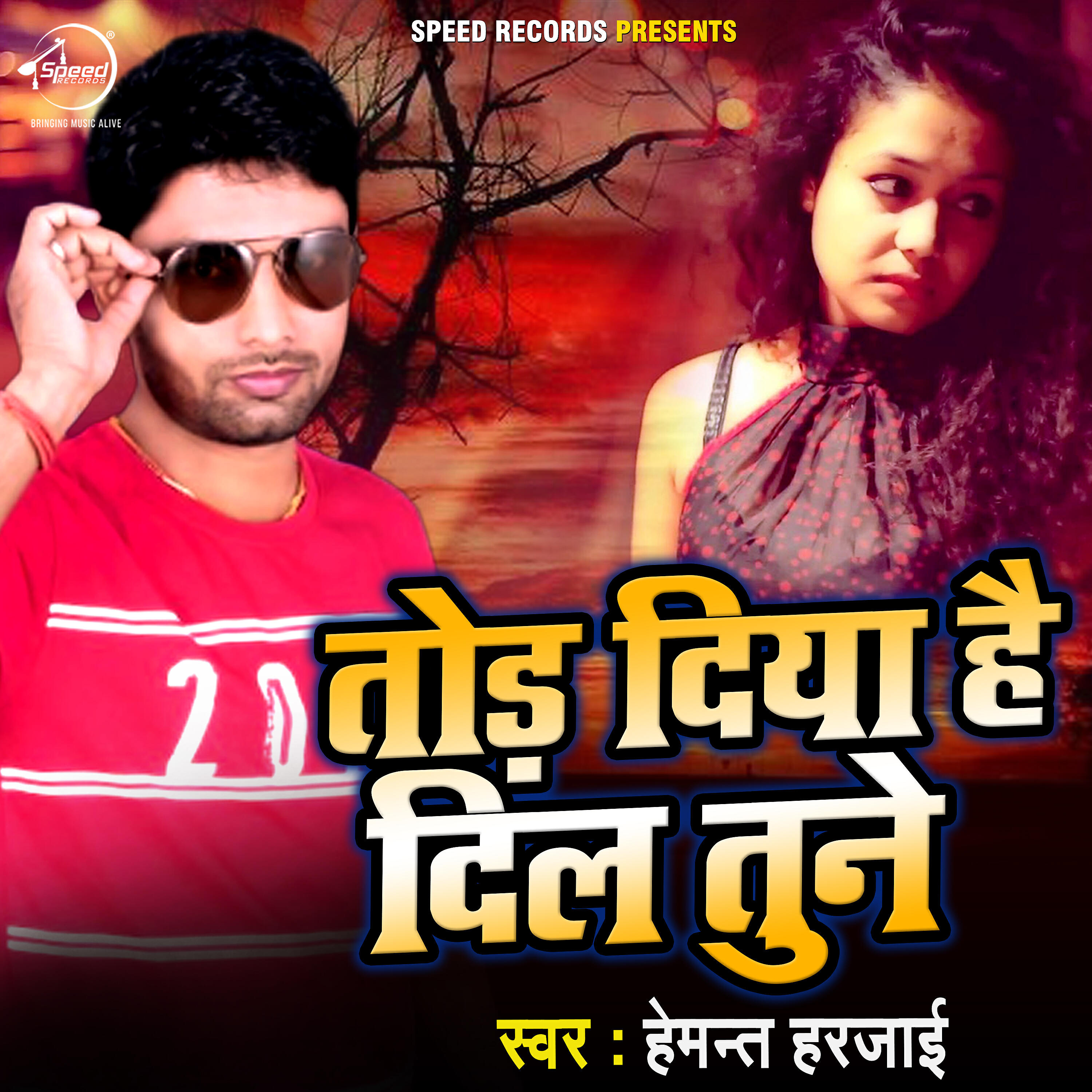 Hemant Harjai - Tod Diya Hai Dil Tune