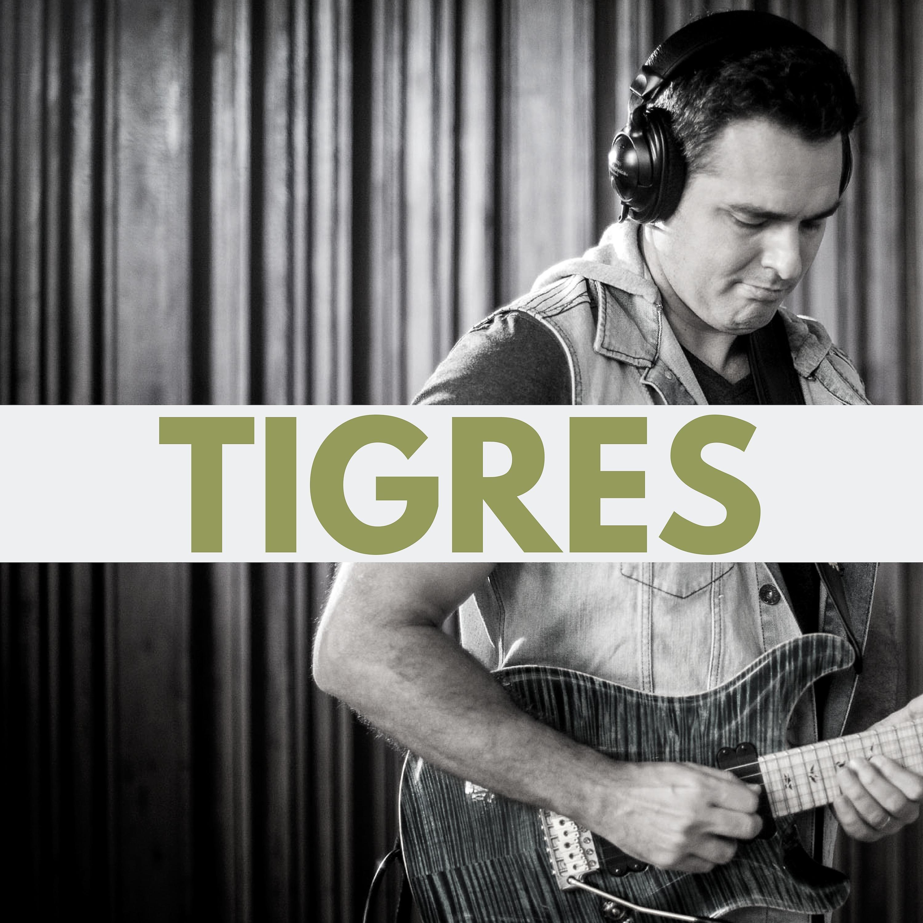 Постер альбома Tigres