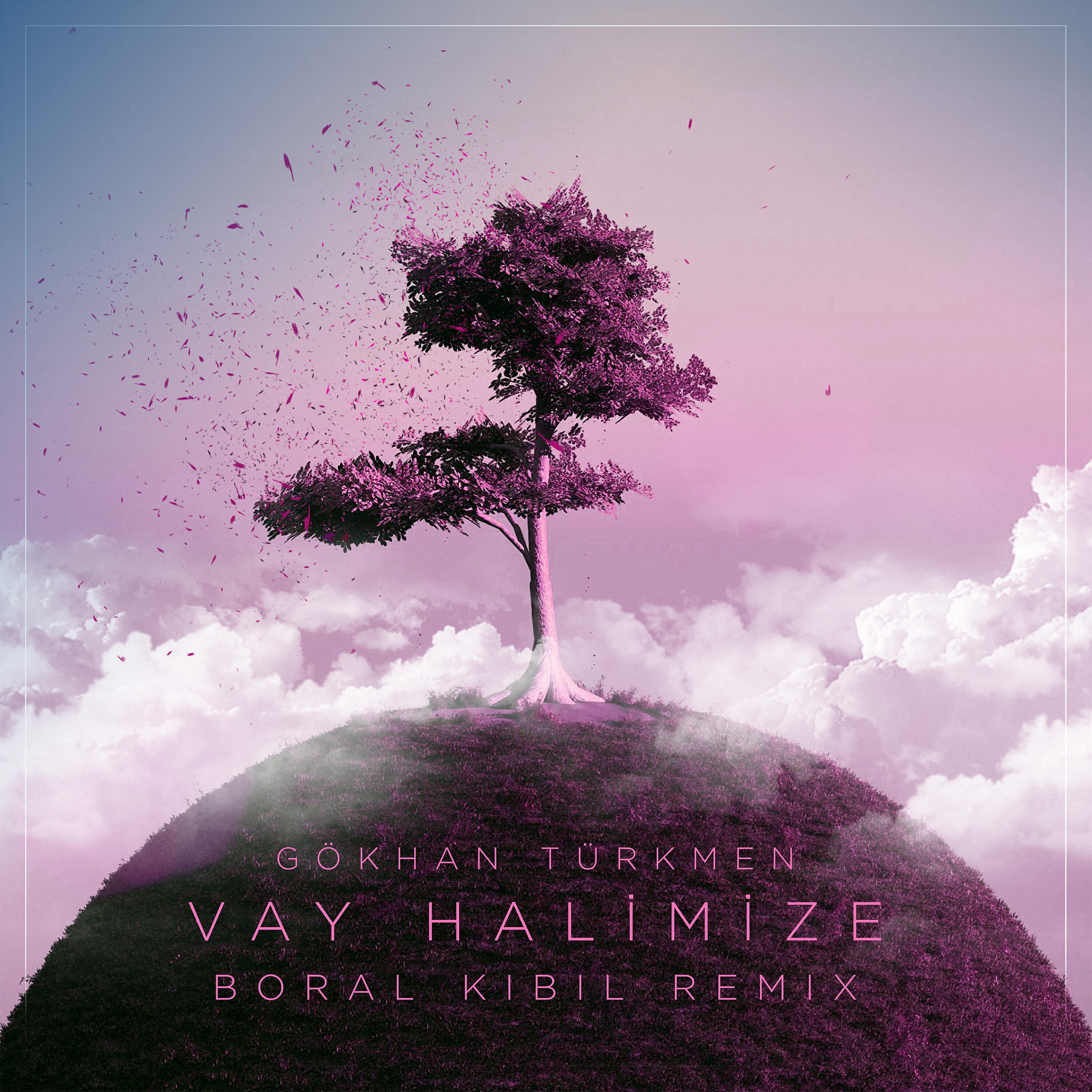 Gökhan Türkmen - Vay Halimize (Boral Kibil Remix)