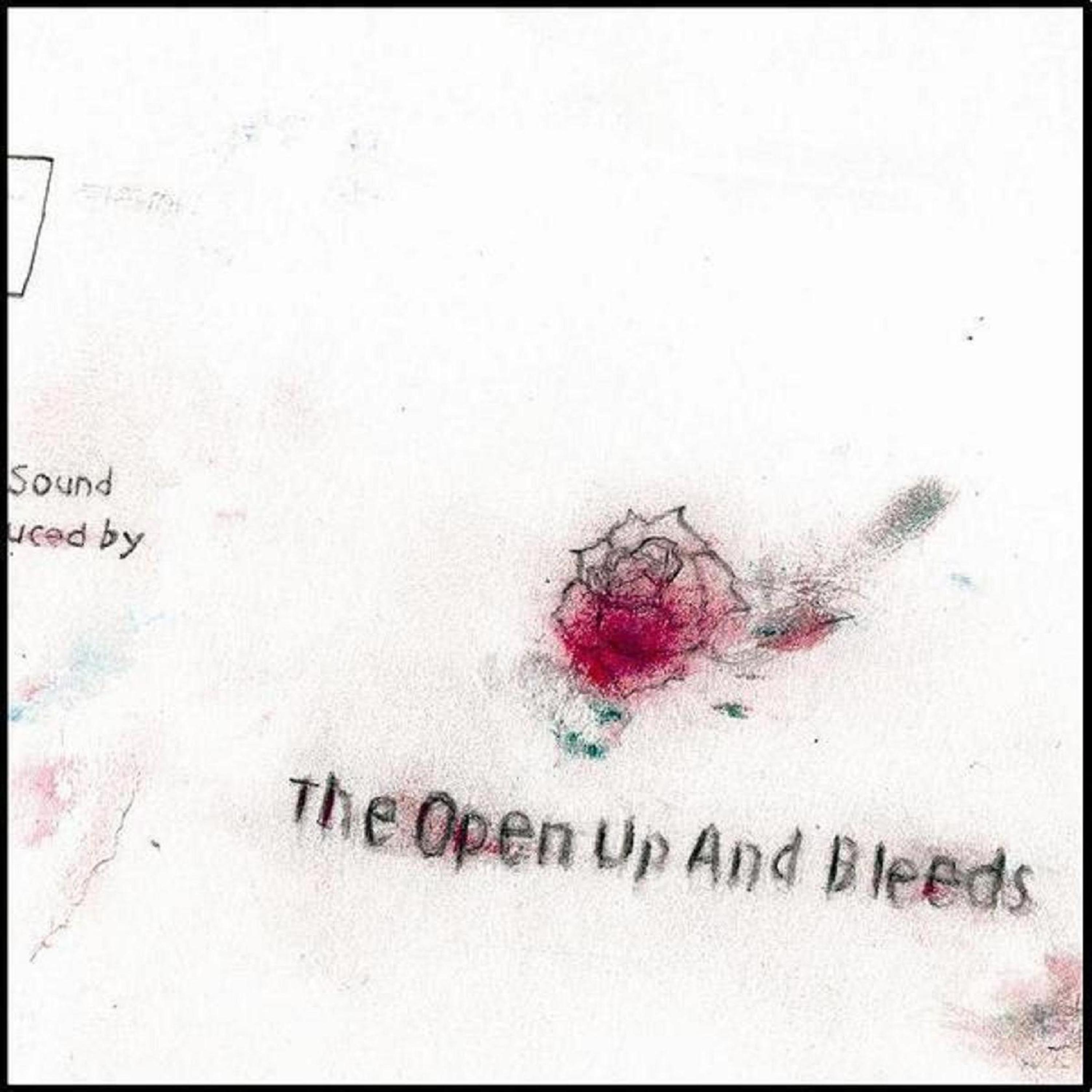 Постер альбома The Open up and Bleeds