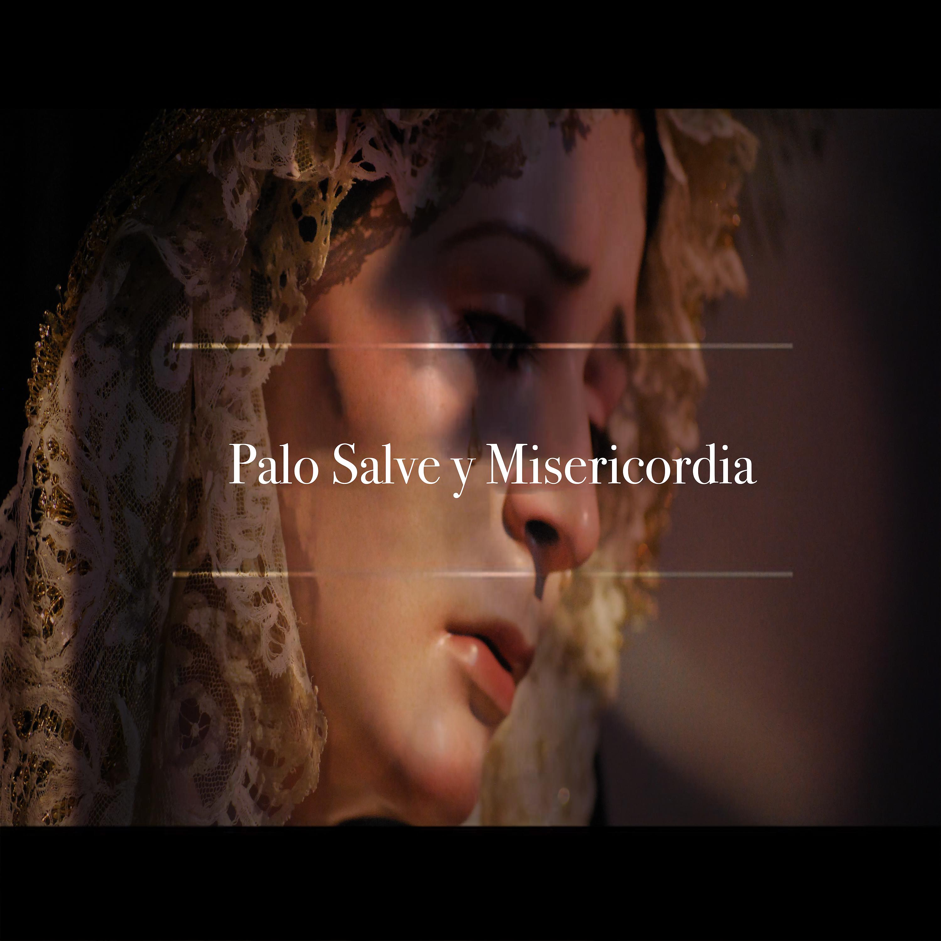 Постер альбома Palo Salve y Misericordia