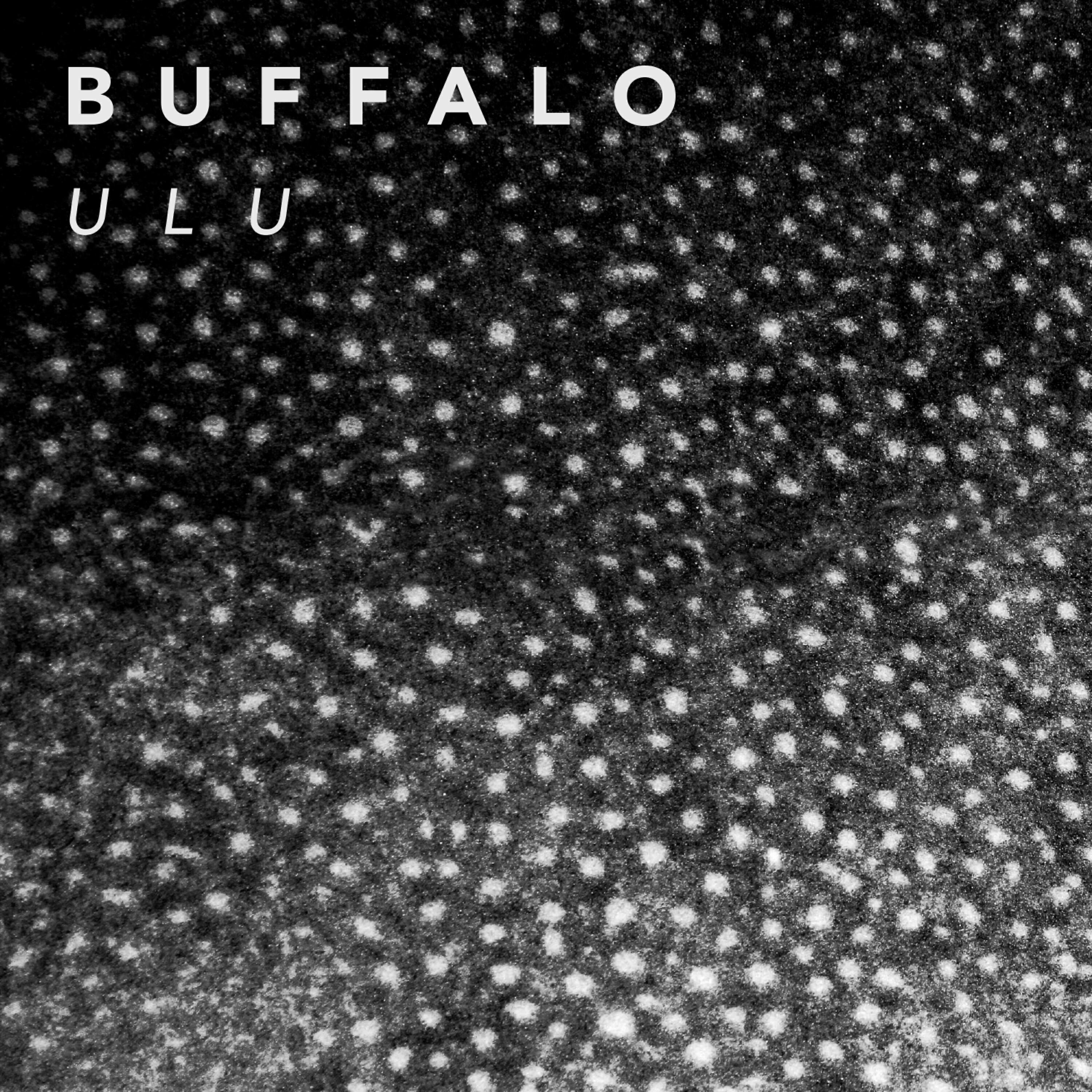 Buffalo - Summer Son