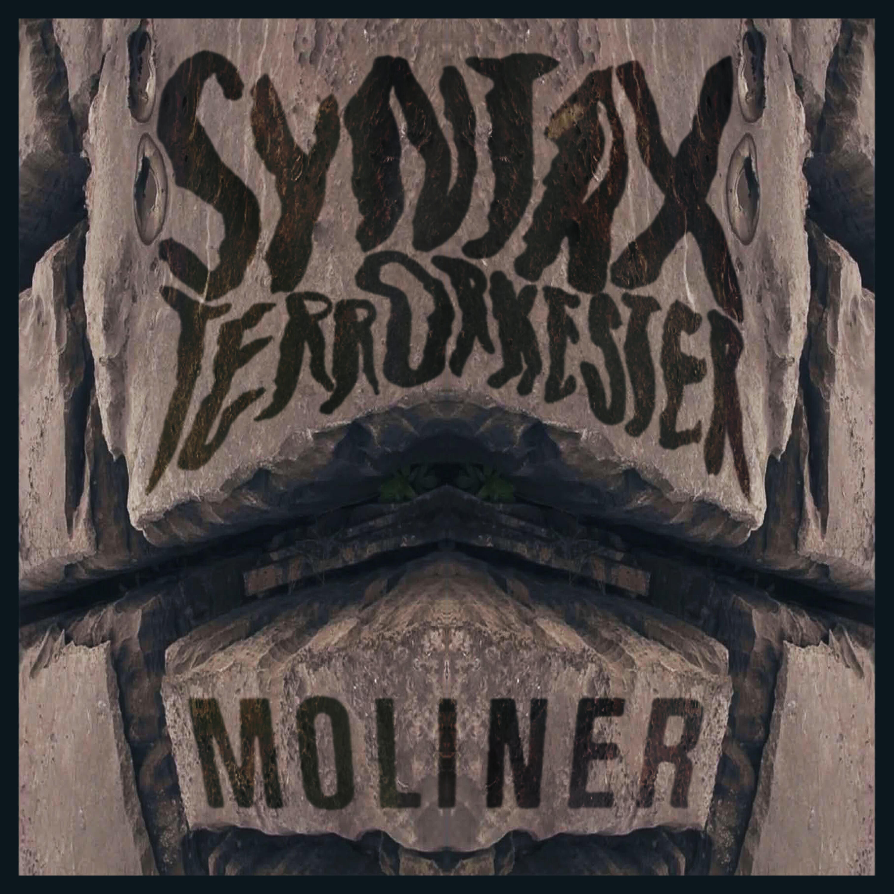 Syntax Terrorkester - Moliner (Edit)