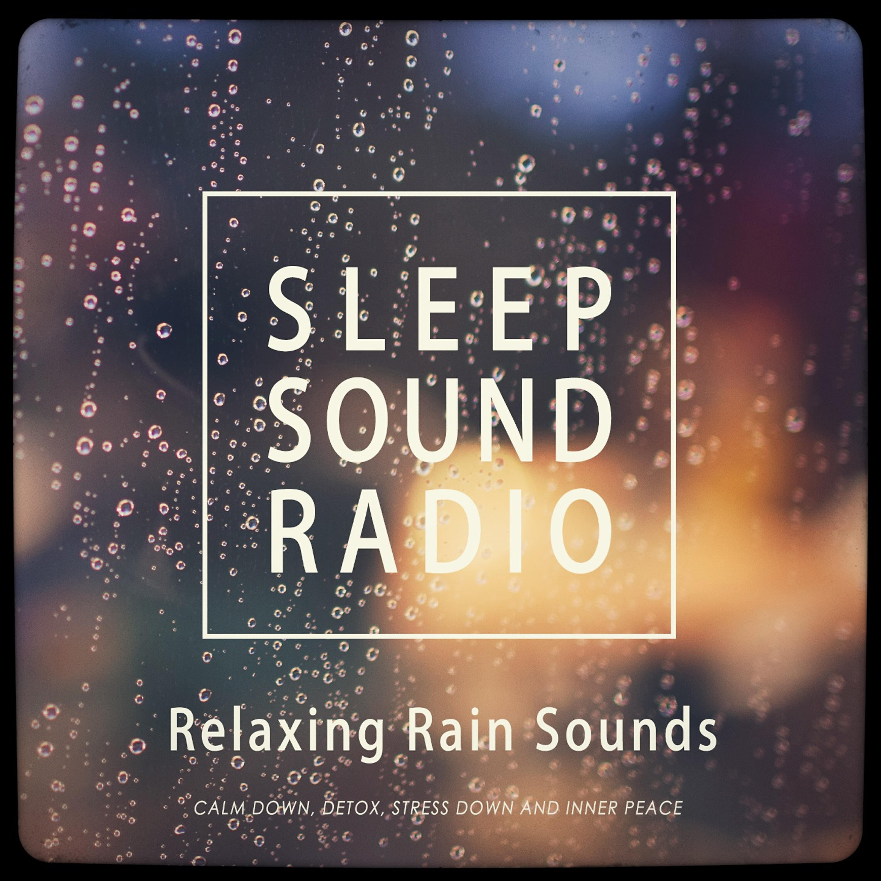 Sleep Sound Radio - Calm Rain on Rooftop