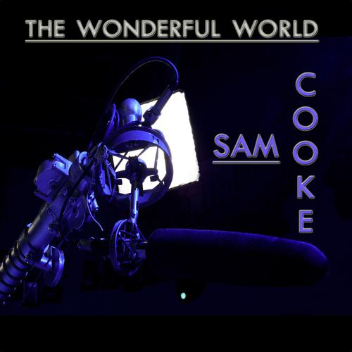 Постер альбома The Wonderful World of Sam Cooke