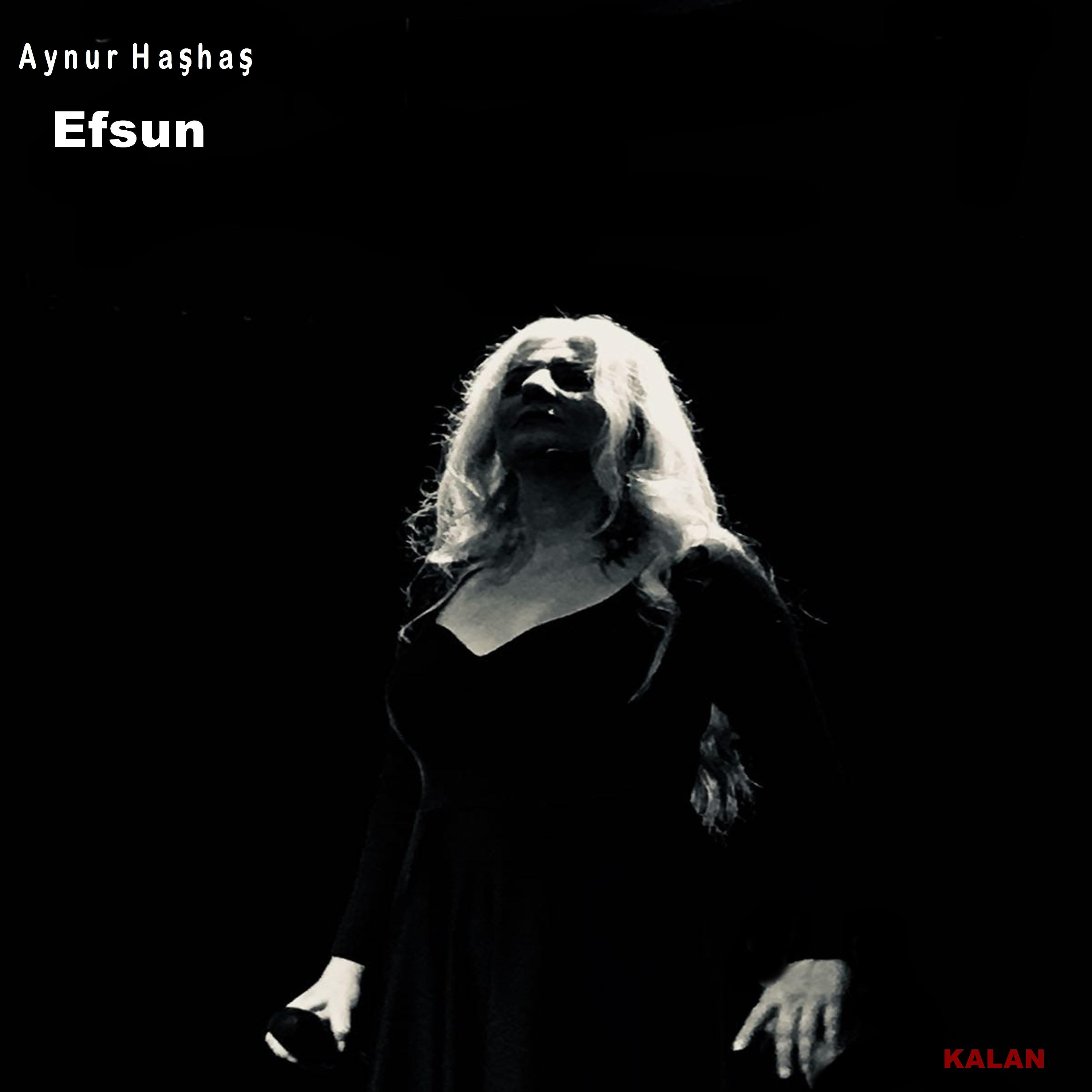 Постер альбома Efsun