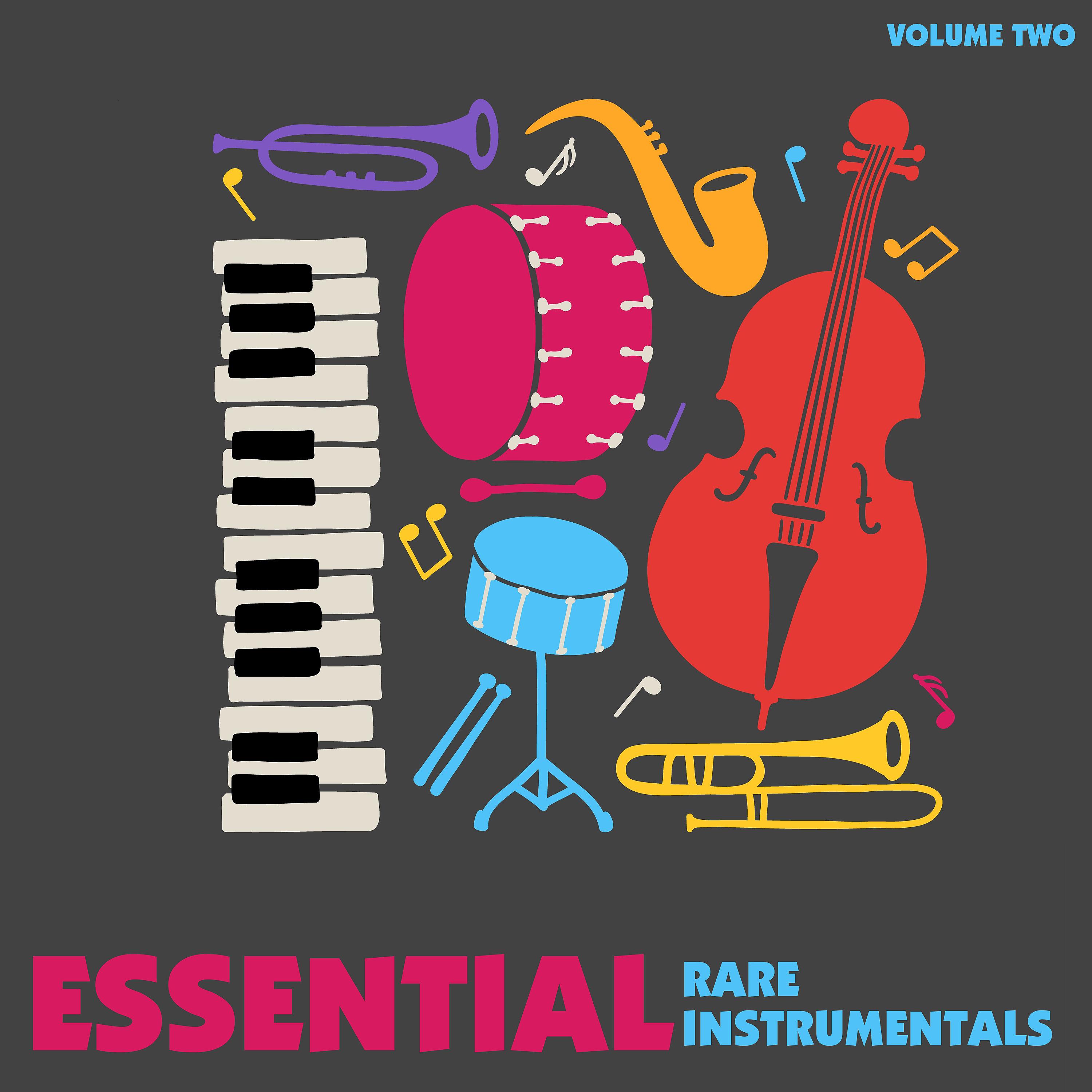 Постер альбома Essential Rare Instrumentals, Volume 2
