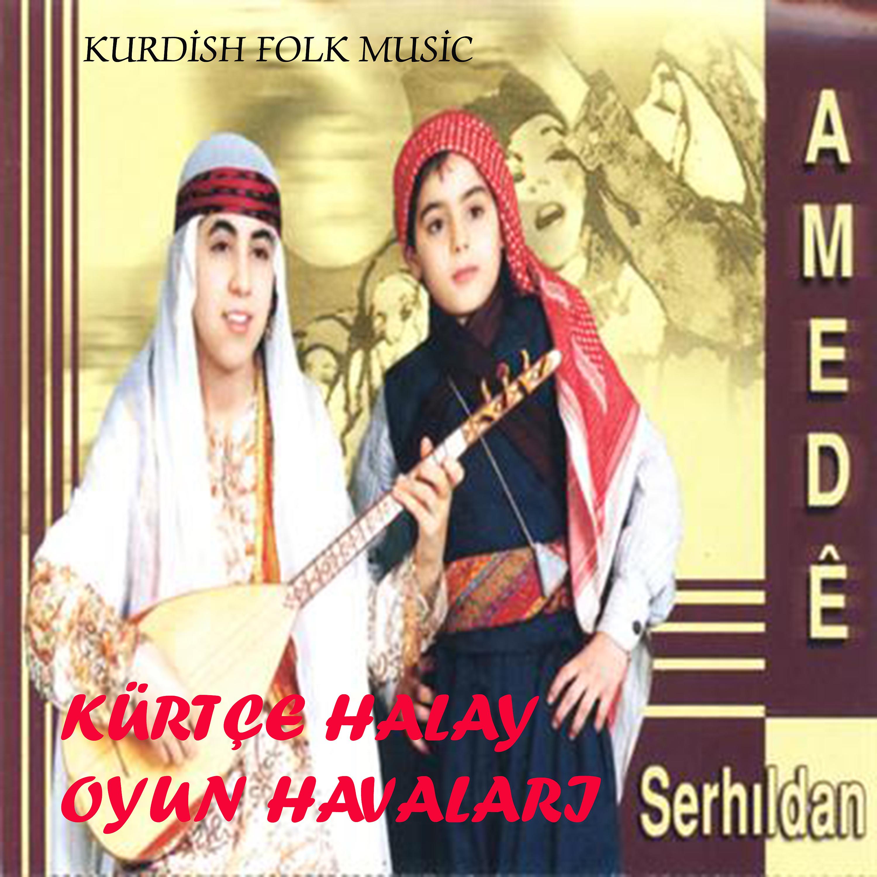 Постер альбома Kürtçe Halay Oyun Havaları