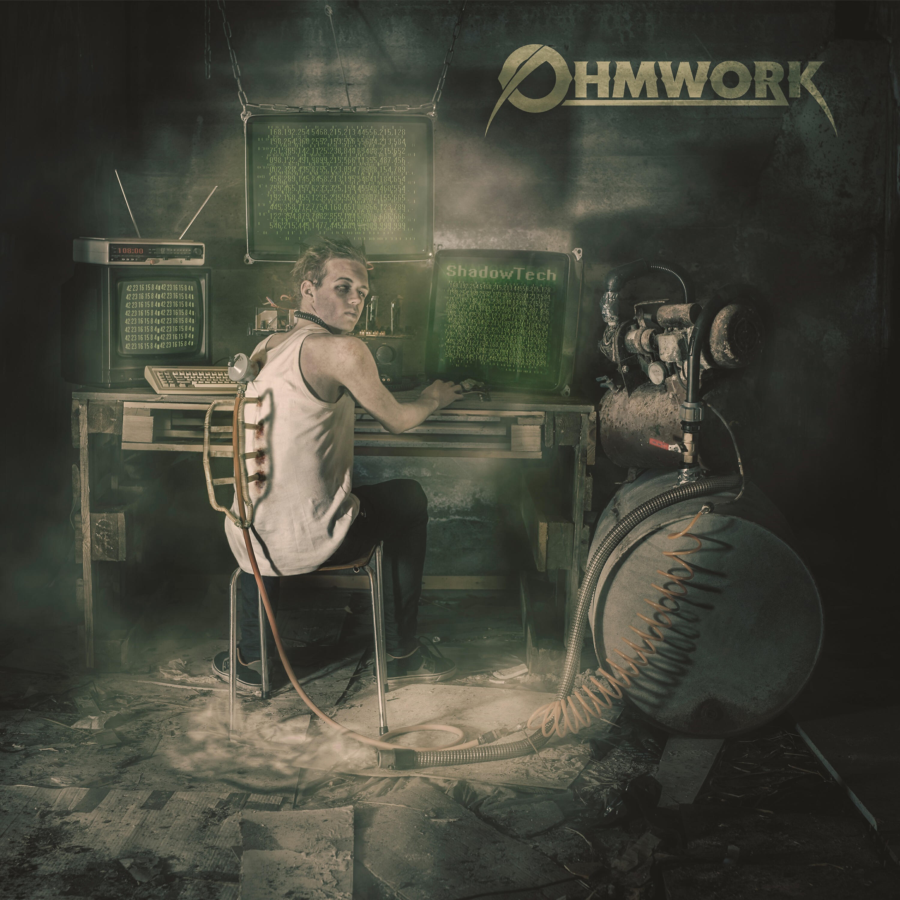 Ohmwork - Veil of Sanity