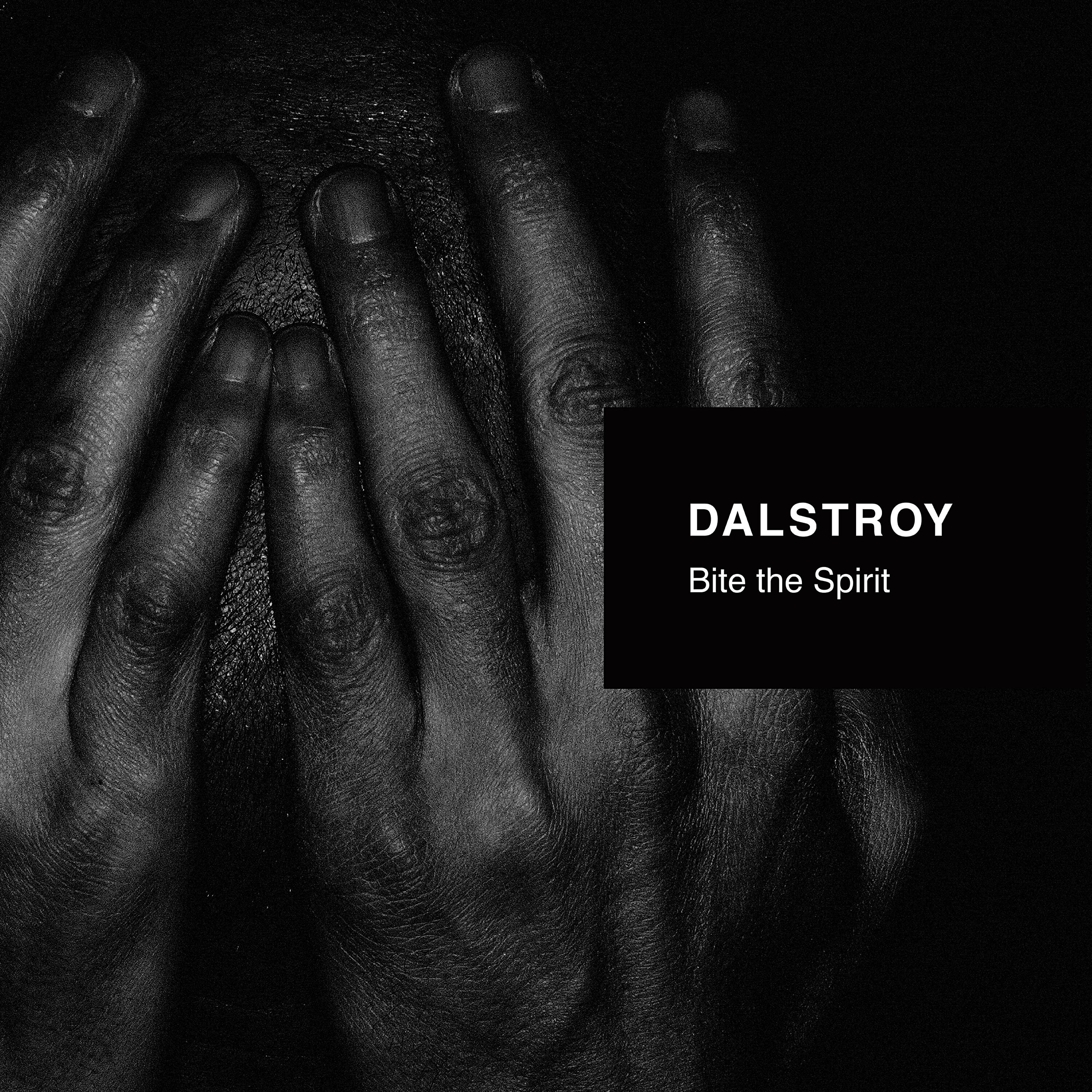 Dalstroy - Derecho (For Jason Noble)