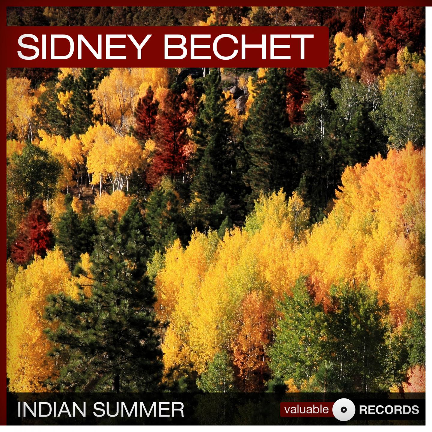 Постер альбома Indian Summer