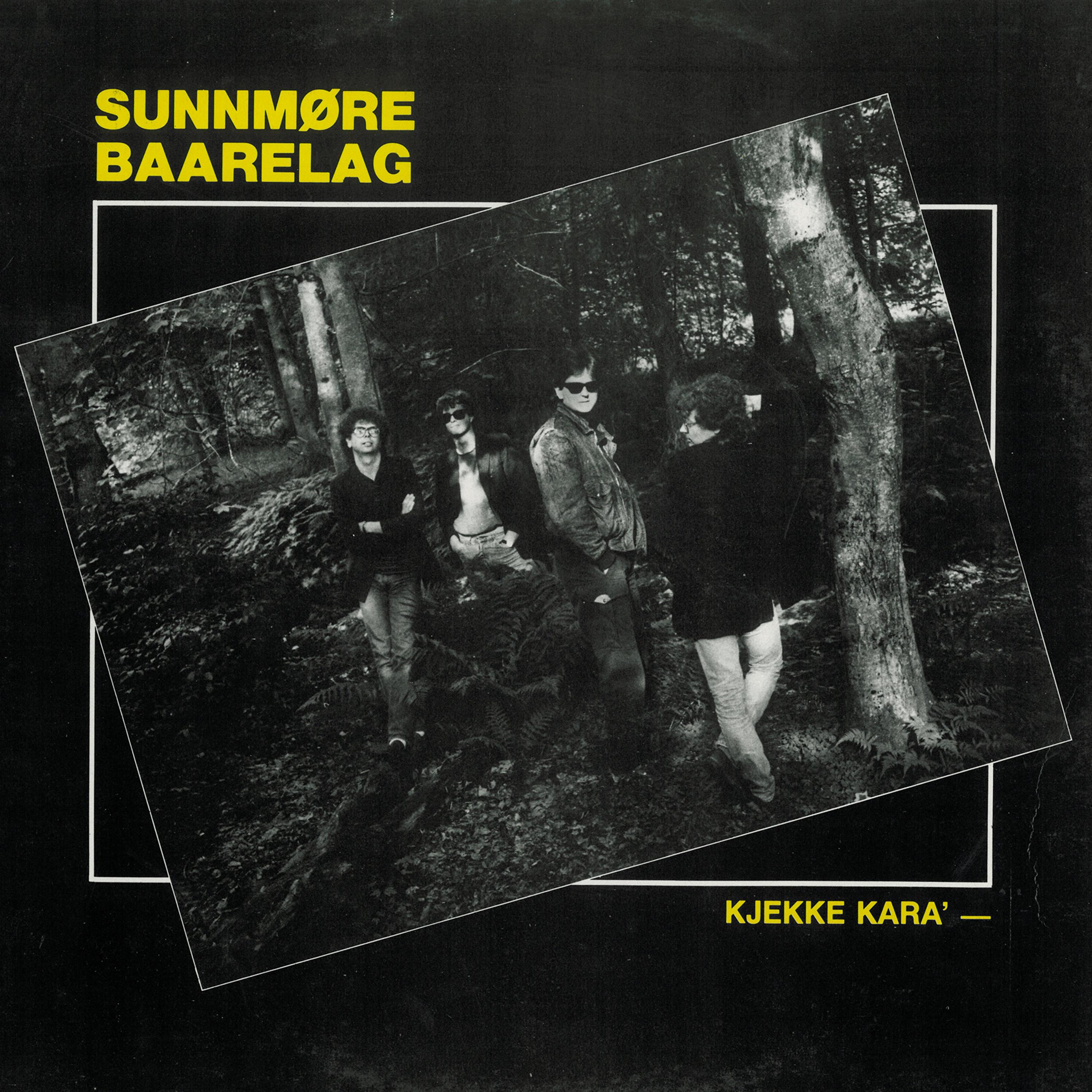 Постер альбома Kjekke Kara