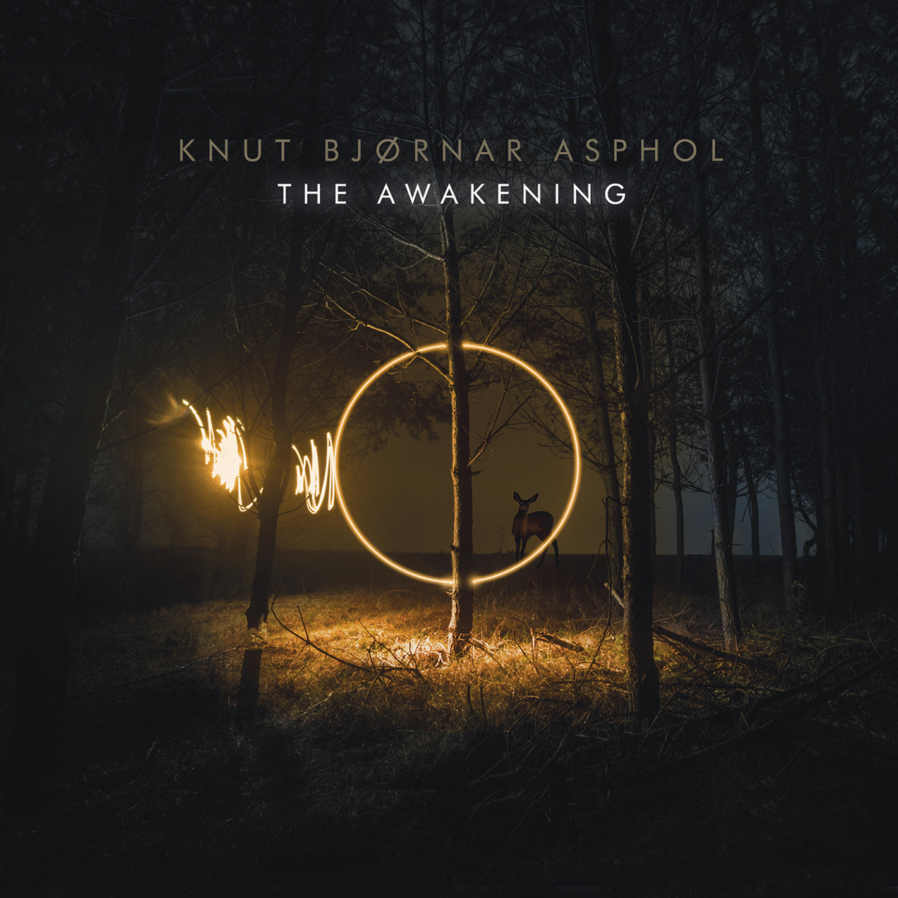 Knut Bjørnar Asphol - Existence; Euphoria