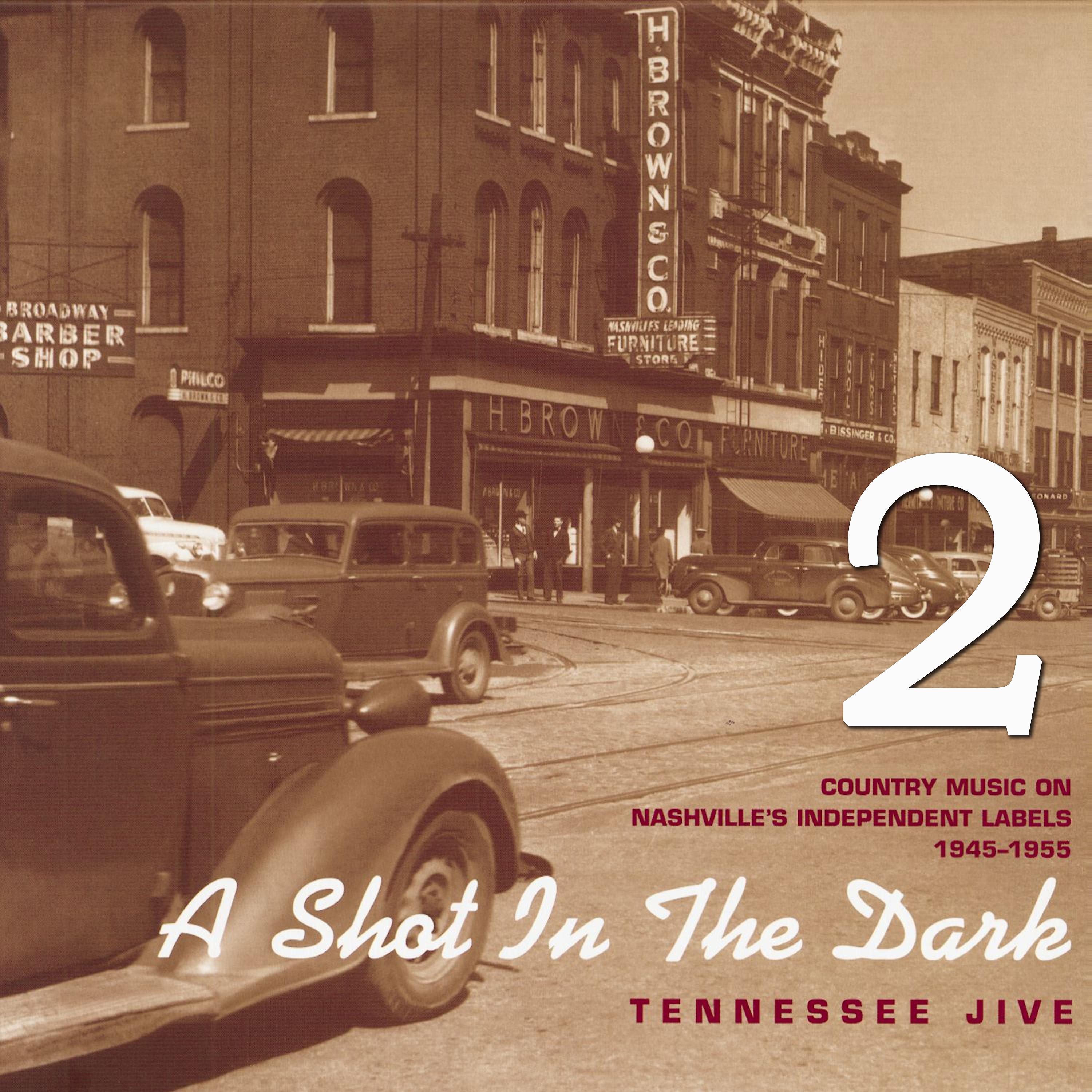 Постер альбома A Shot in the Dark - Tennessee Jive - Country Music on Nashville's Independent Labels 1945-1955, Vol. 2