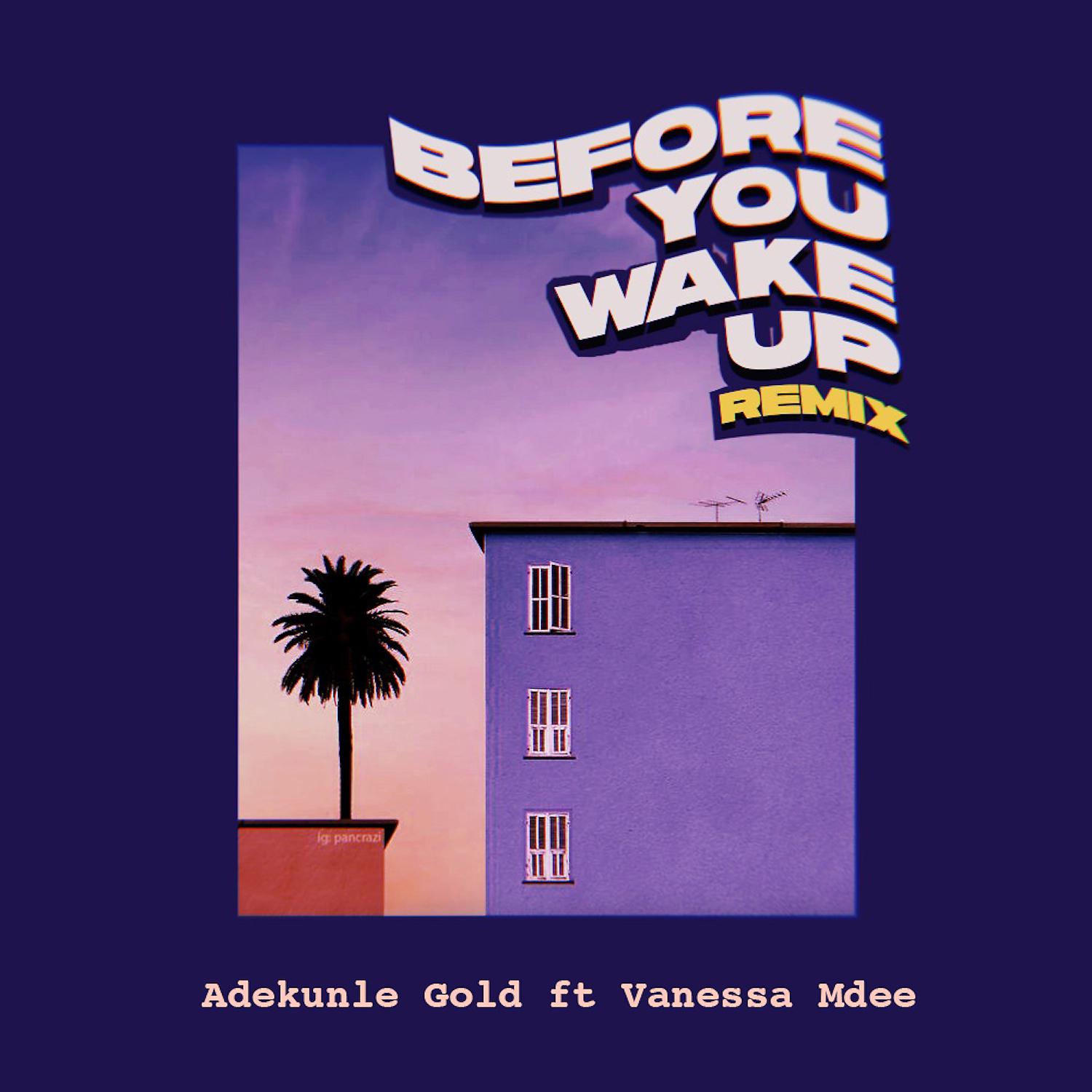 Постер альбома Before You Wake Up (Remix) [feat. Vanessa Mdee]