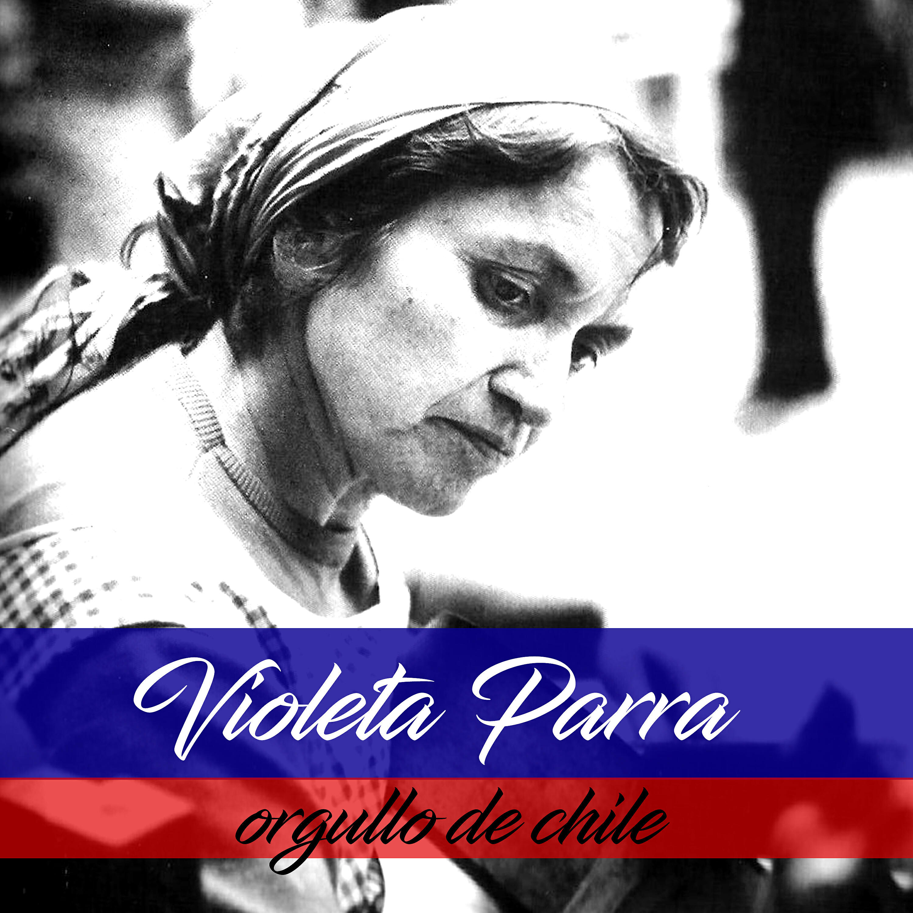 Violeta Parra - Hace Falta un Guerrillero