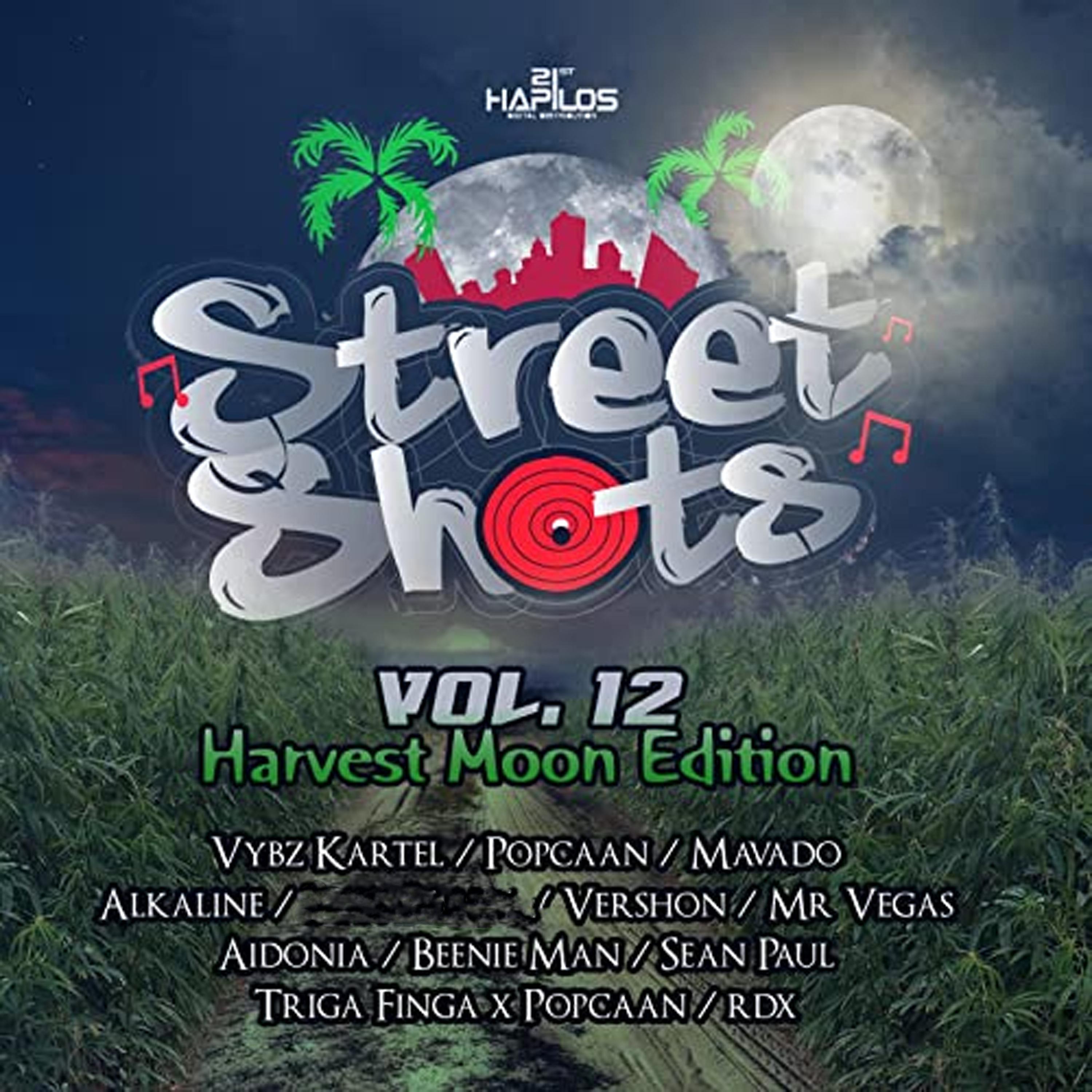 Постер альбома Street Shots, Vol. 12 (Harvest Moon Edition)