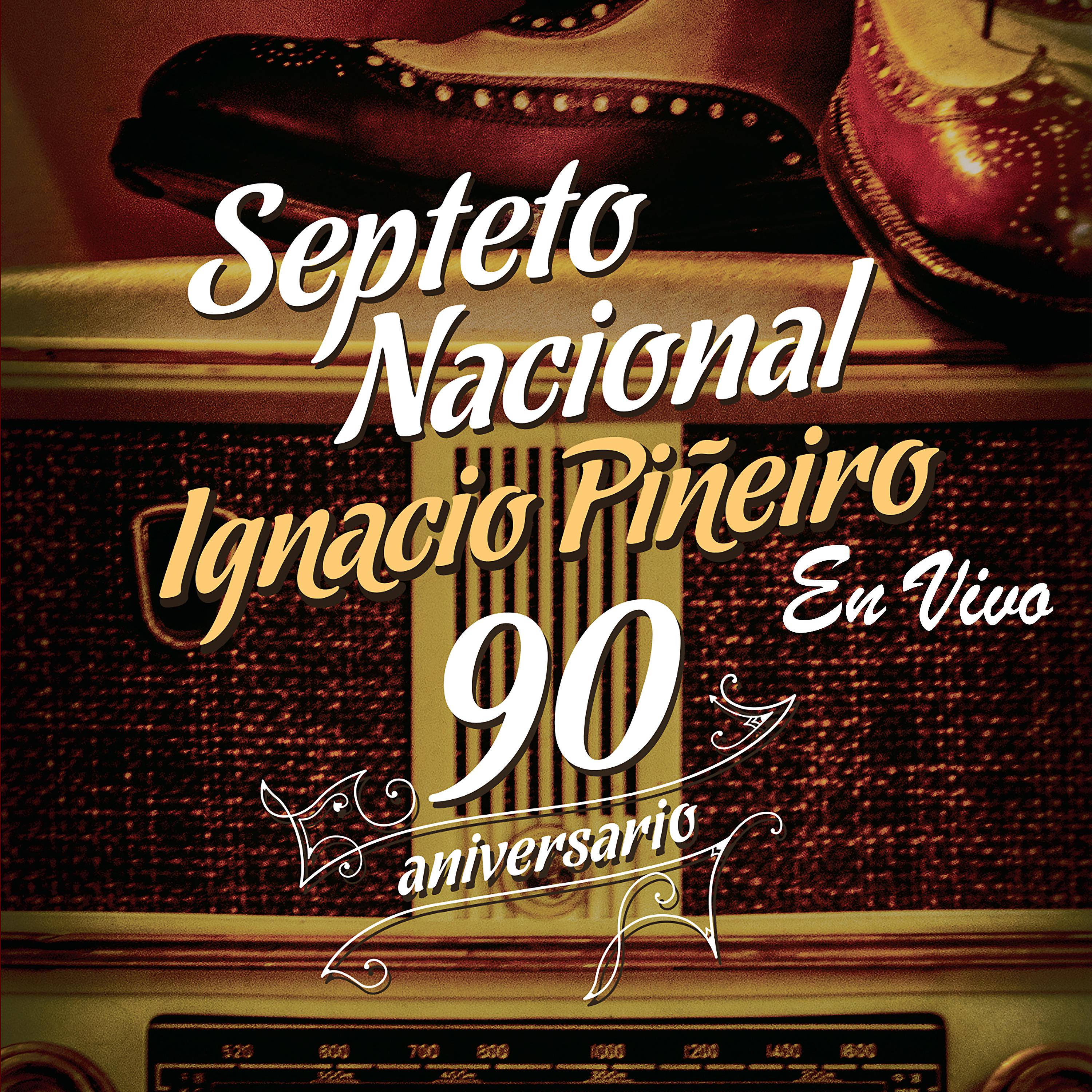 Постер альбома Celebrando los 90 (En Vivo)
