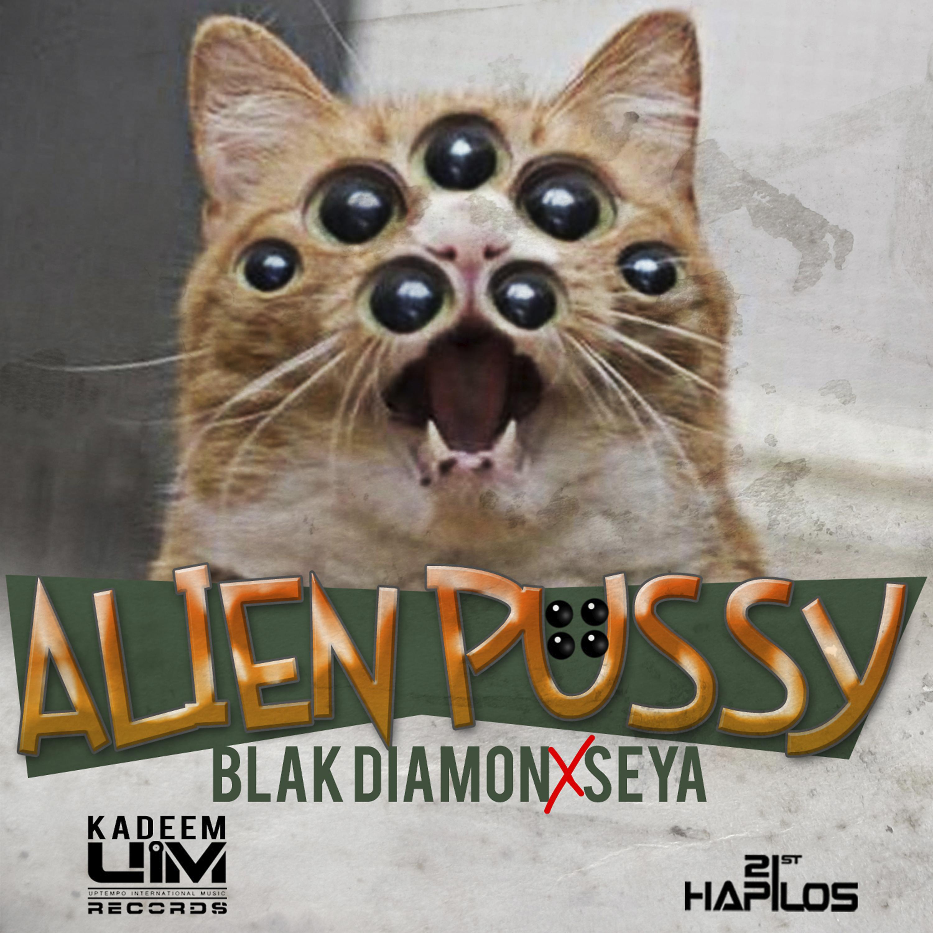 Постер альбома Alien Pussy