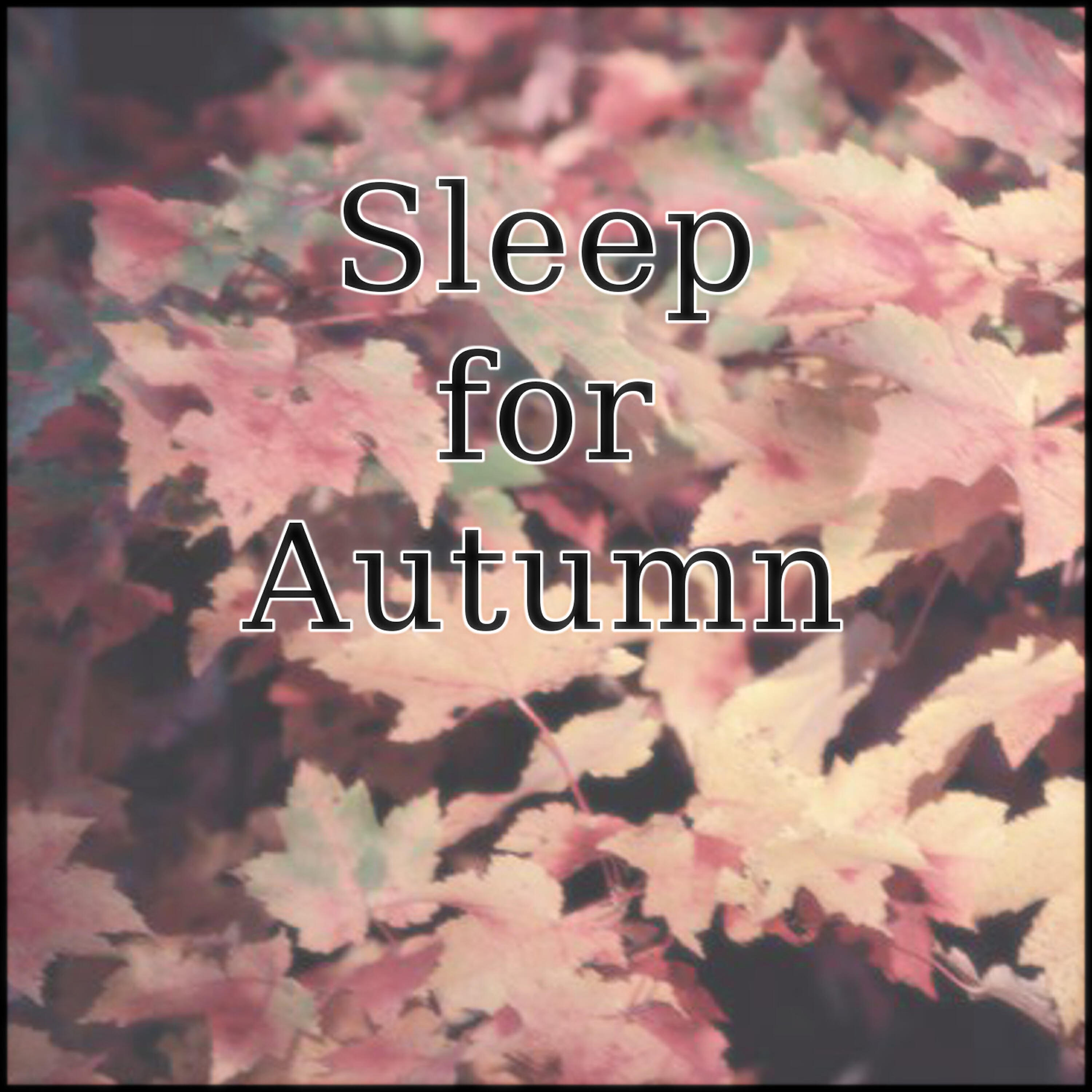 Sleep Music Laboratory - Music for Sleep in the Temperature Variation in the Autumn 