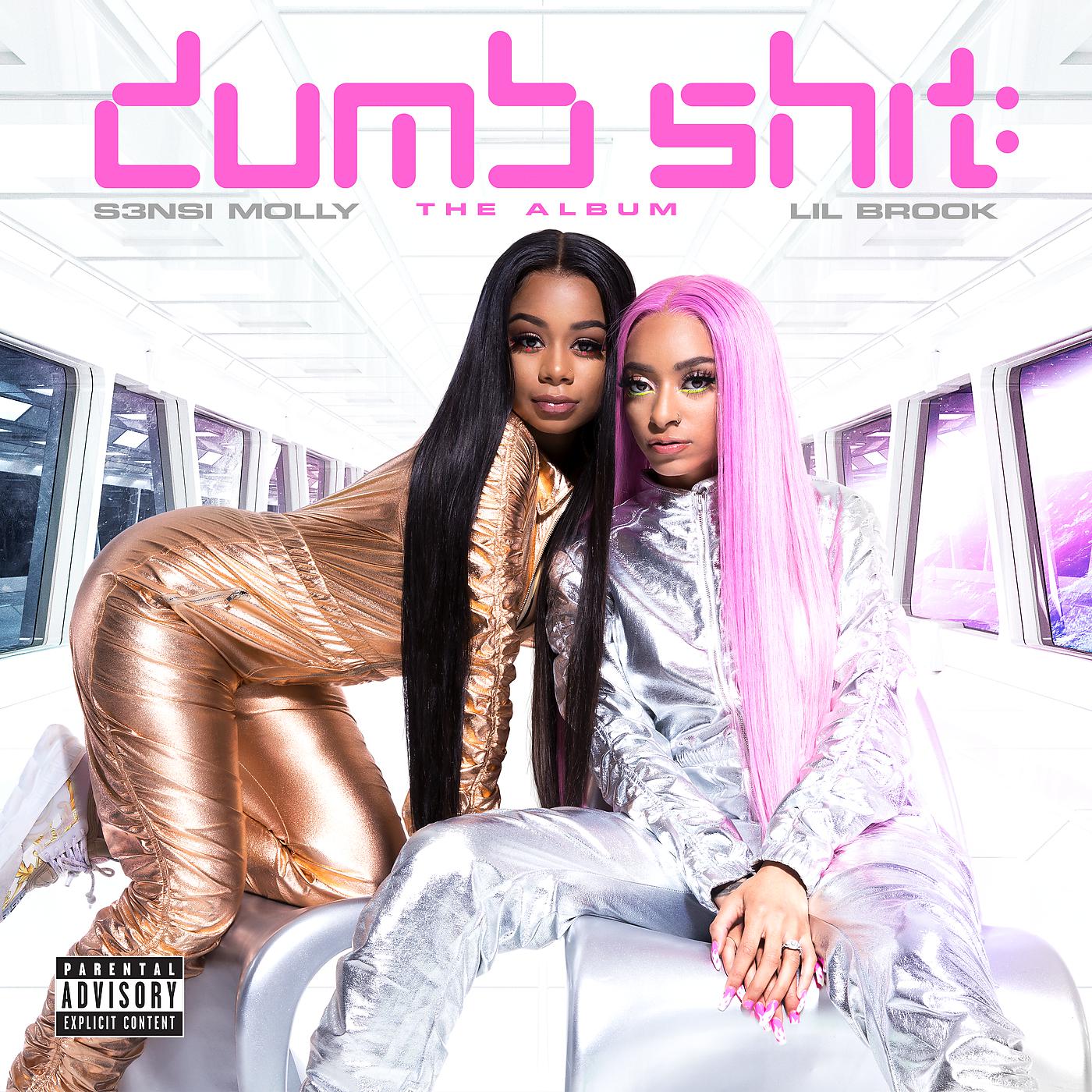 Постер альбома Dumb Shit: The Album