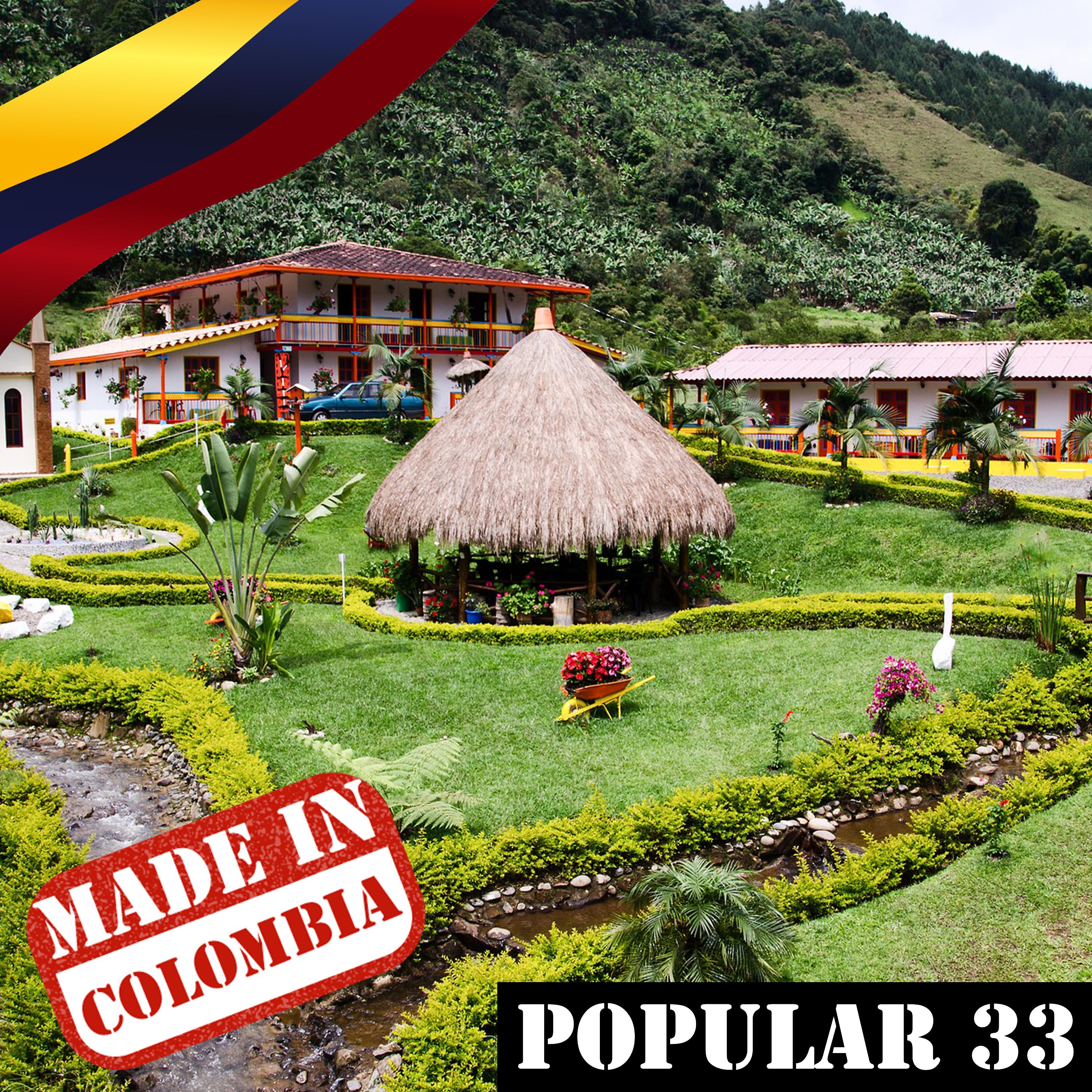 Постер альбома Made In Colombia: Popular, Vol. 33