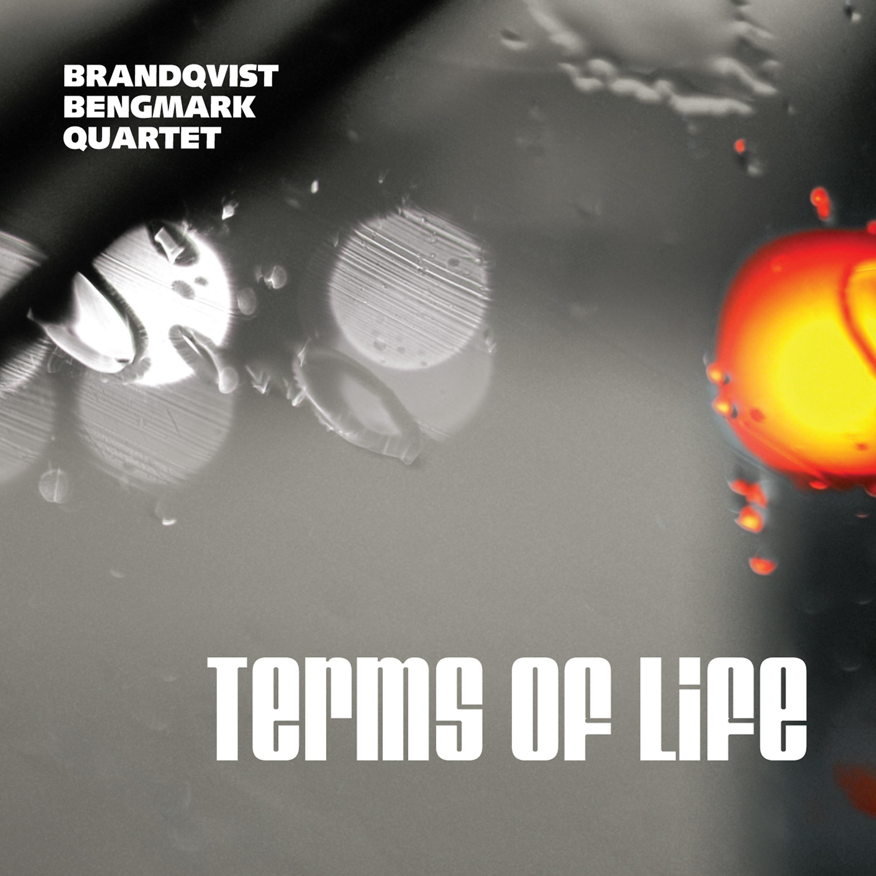 Постер альбома Terms of Life