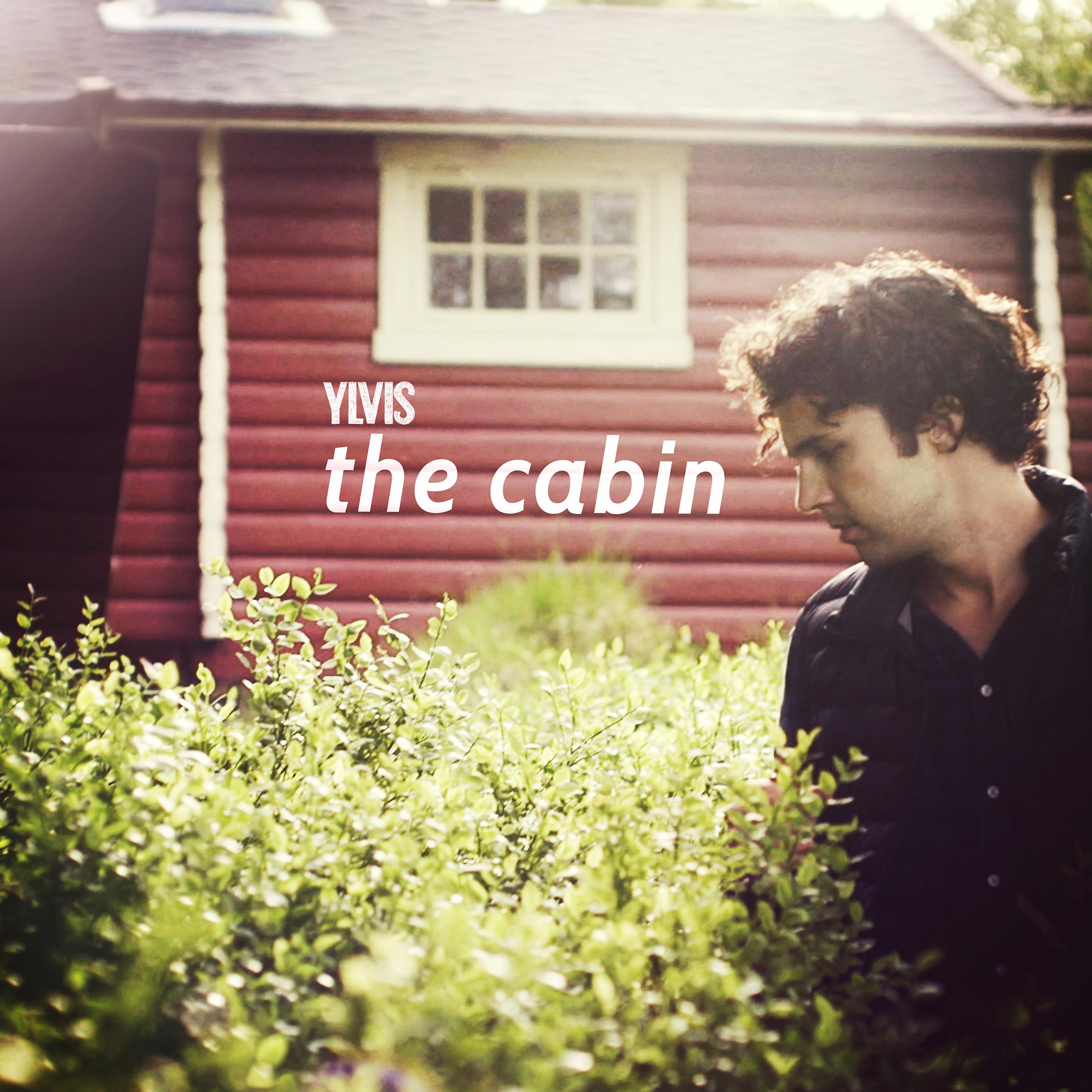 Постер альбома The Cabin