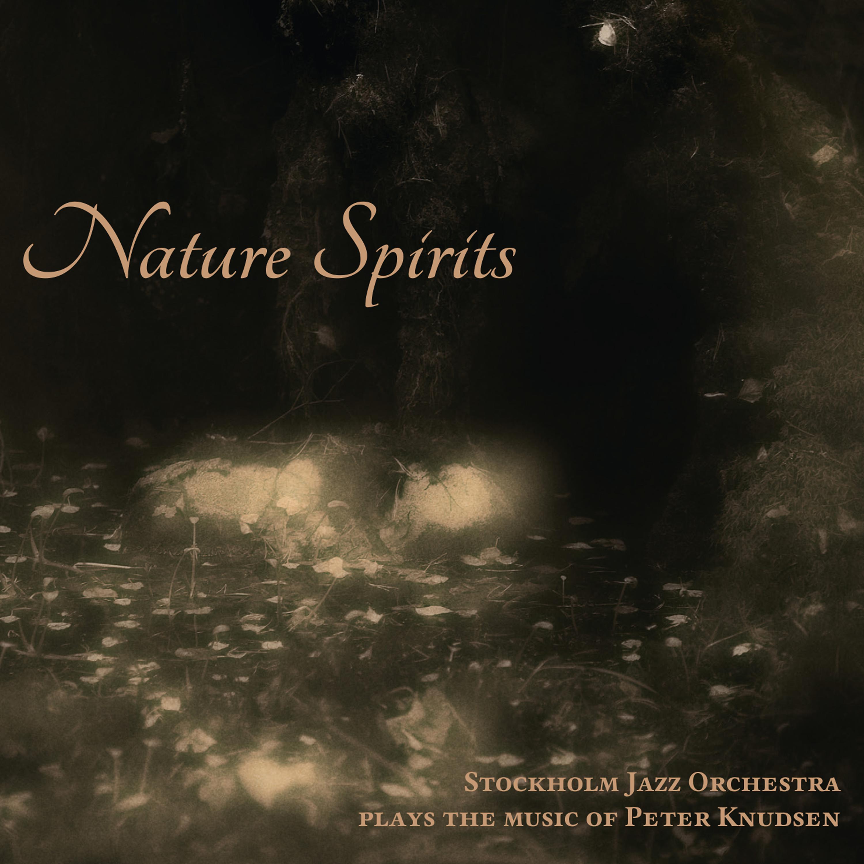 Постер альбома Plays the Music of Peter Knudsen: Nature Spirits