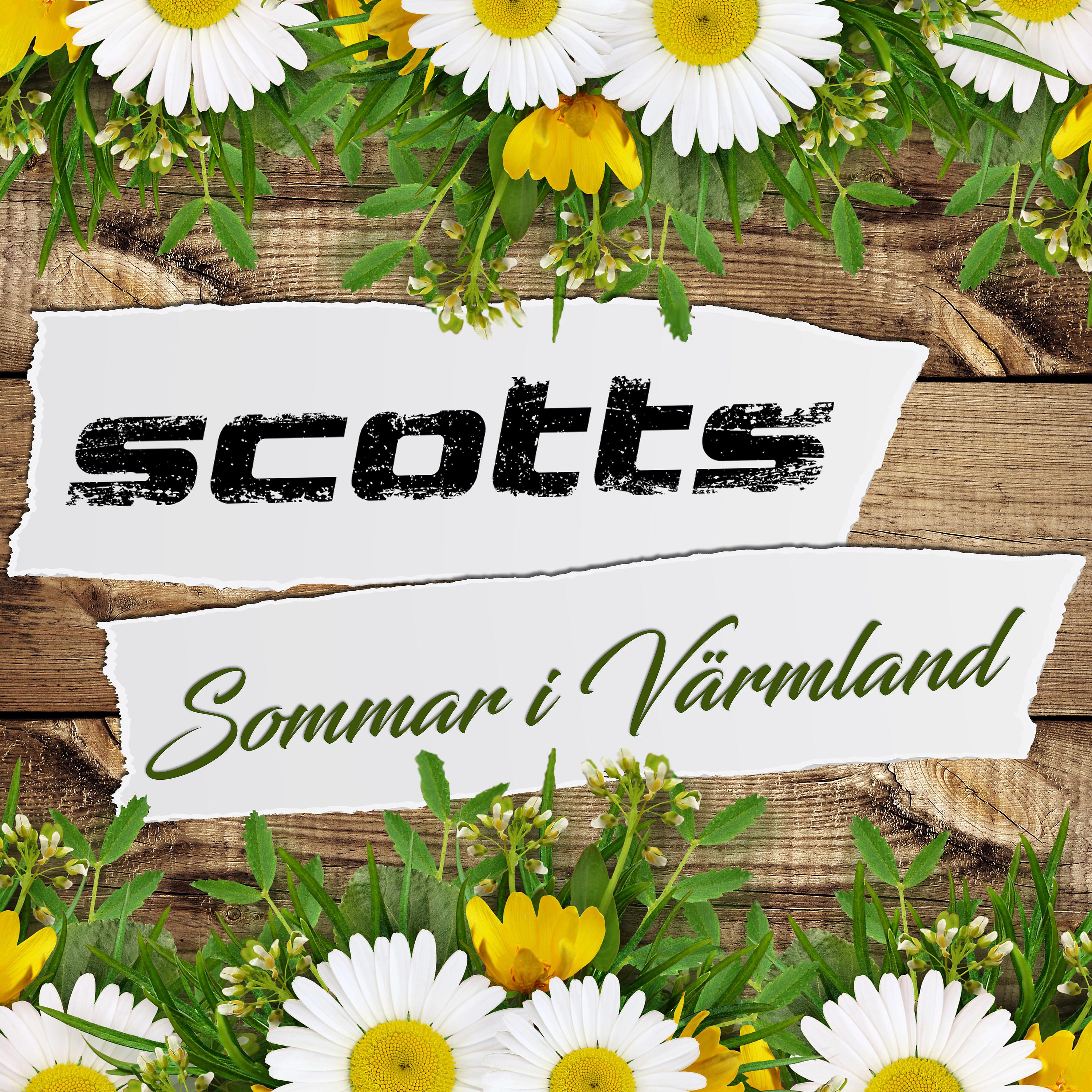 Постер альбома Sommar i Värmland