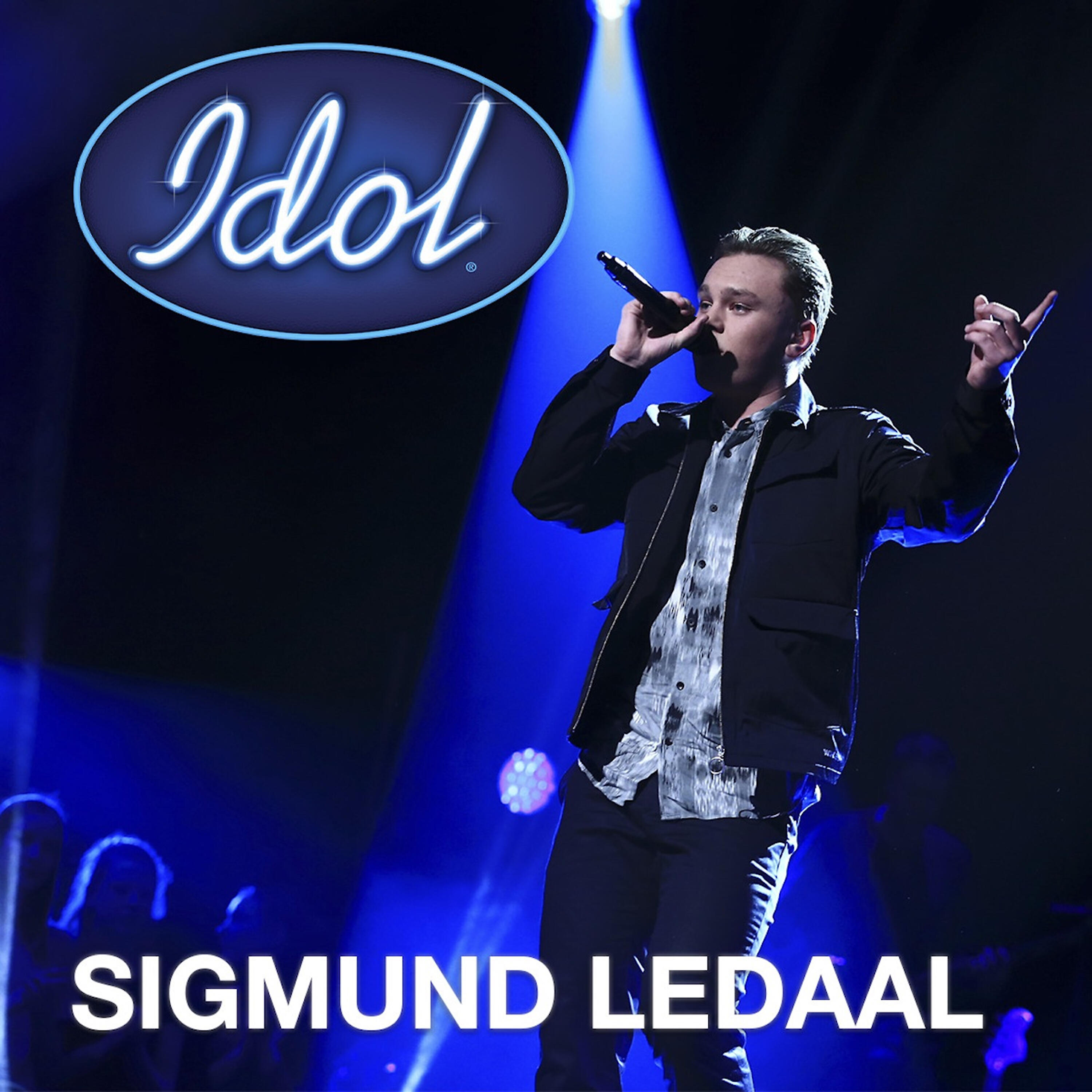 Sigmund Ledaal - I Don´t Want to Miss a Thing