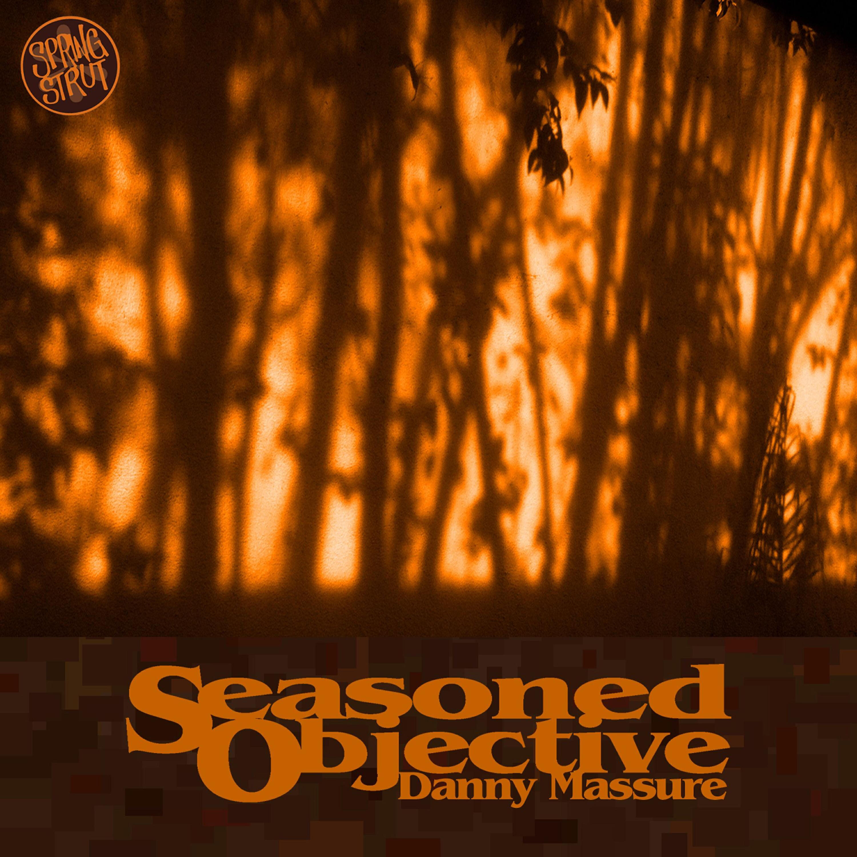 Danny Massure - Fixated