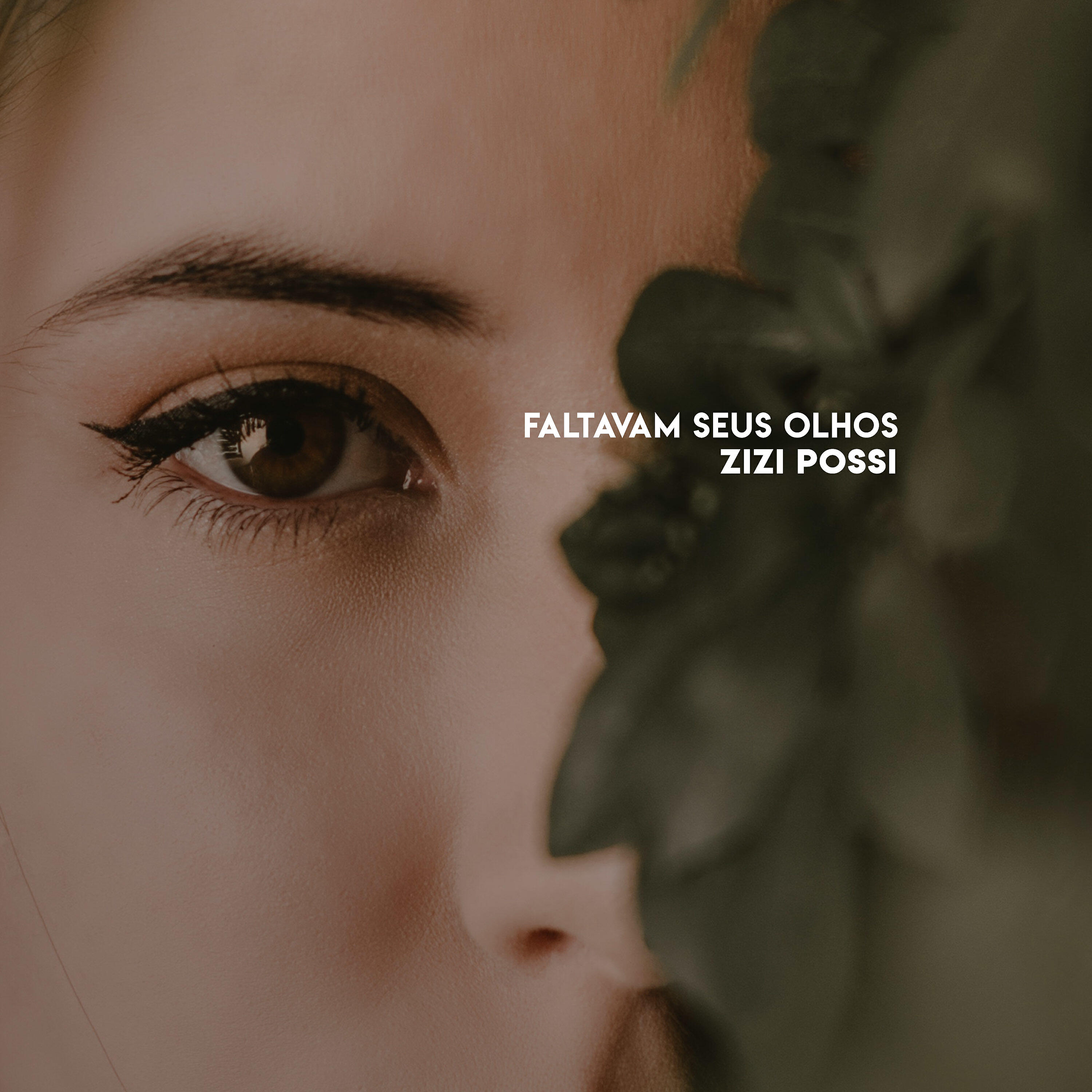 Zizi Possi - Faltavam Seus Olhos