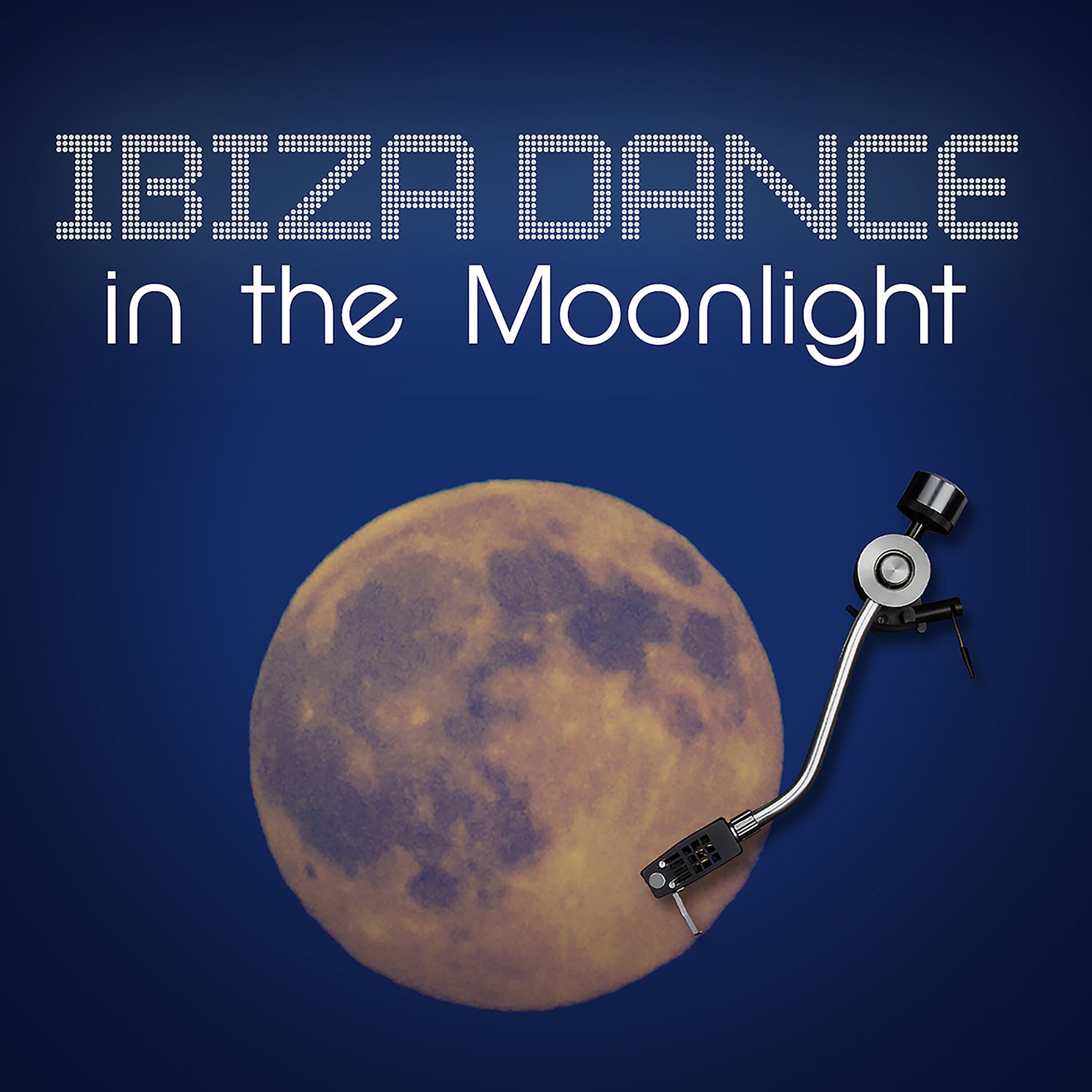 Постер альбома Ibiza Dance in the Moonlight
