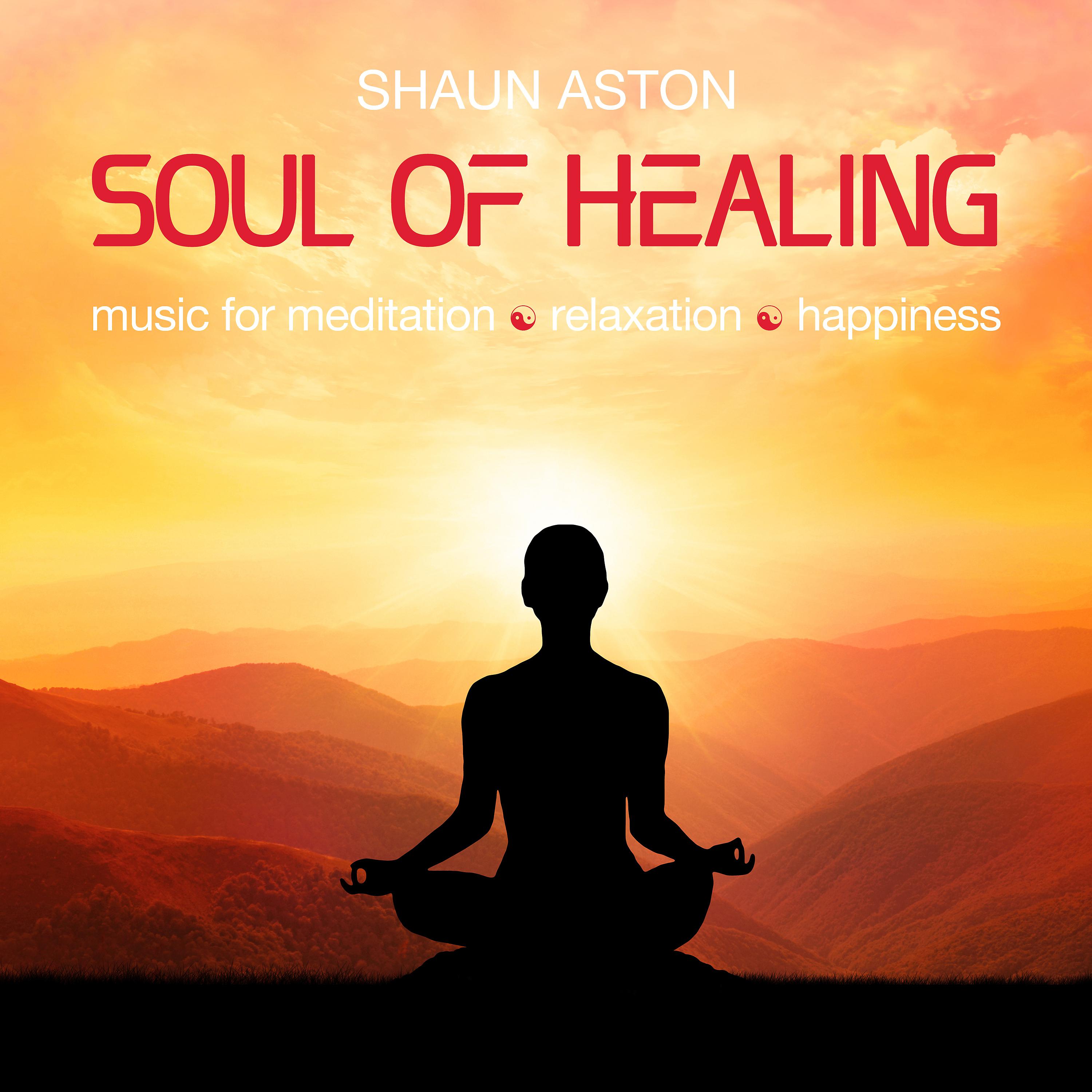 Постер альбома Soul of Healing: Music for Meditation, Relaxation and Happiness