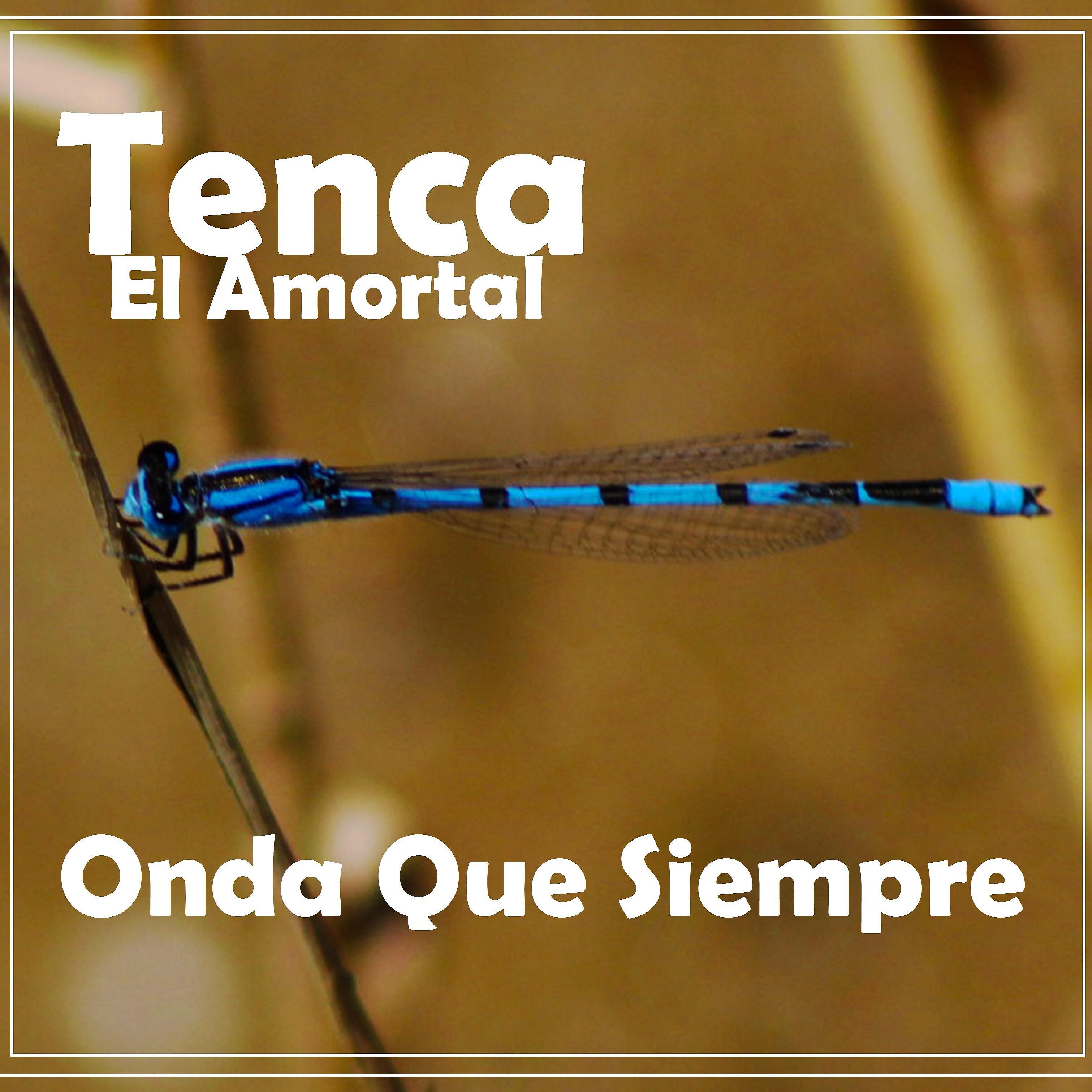 Tenca El Amortal - Pasión En El Puerto