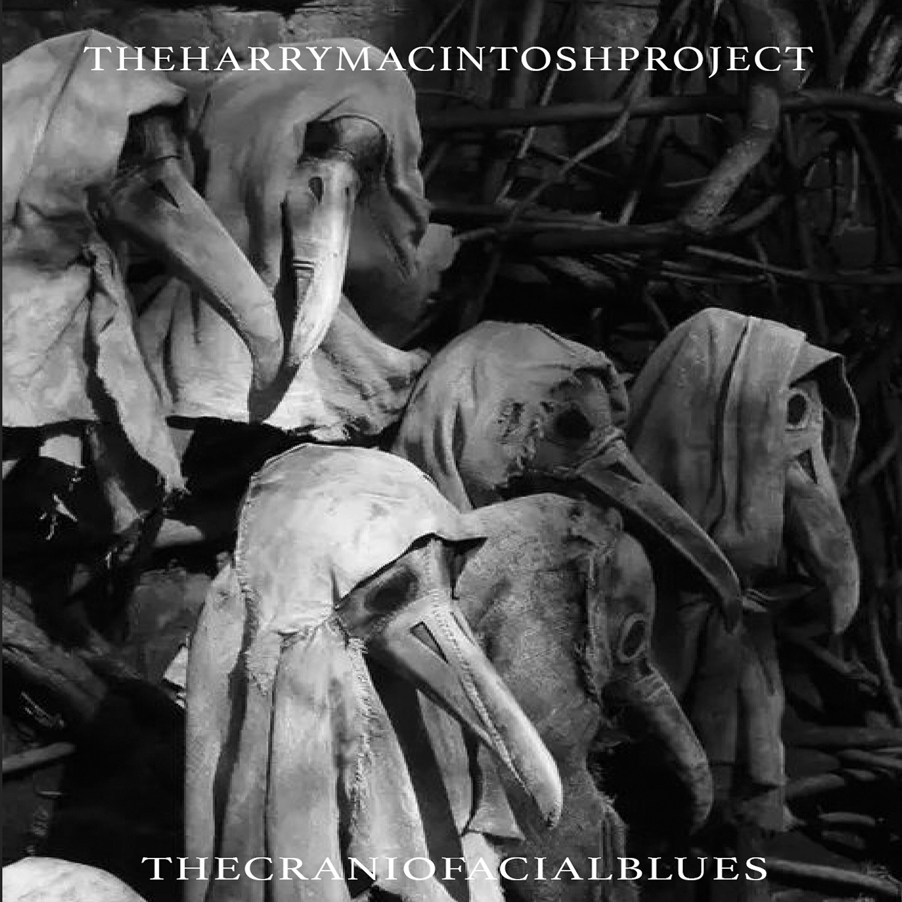 The Harry Macintosh Project - Training for an Organisation