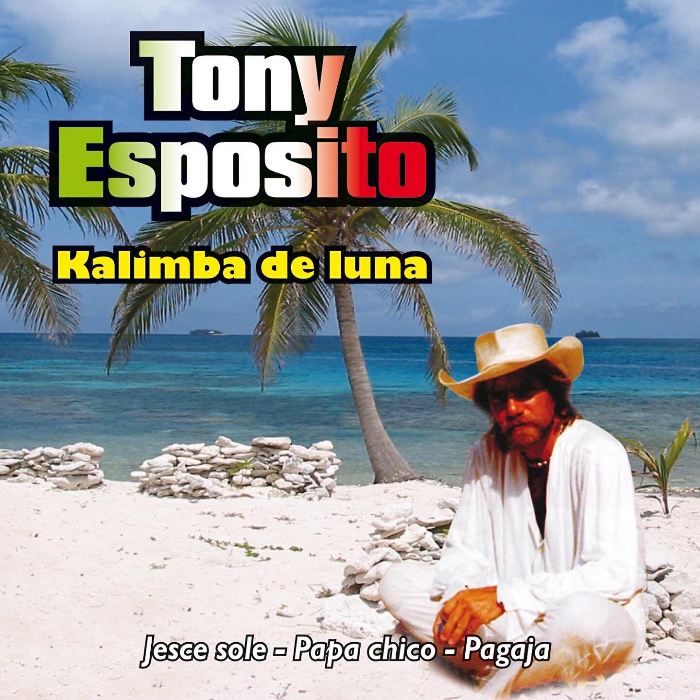 Tony esposito kalimba. Тони Эспозито калимба де Луна. Tony Esposito обложки. Tony Esposito Kalimba de Luna 1984. Tony Esposito обложки альбомов.