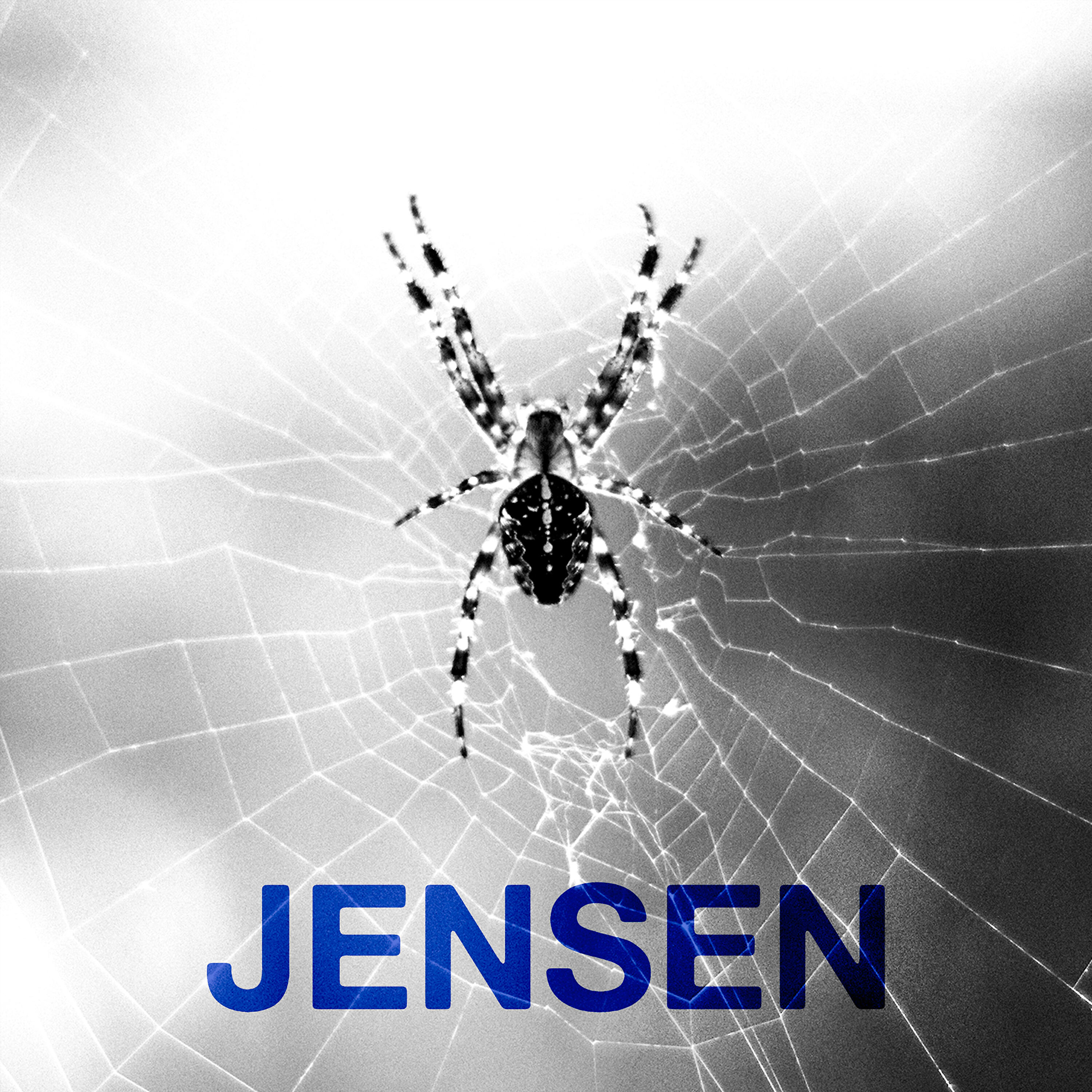 KENNETH ENGEBRETSEN - JENSEN