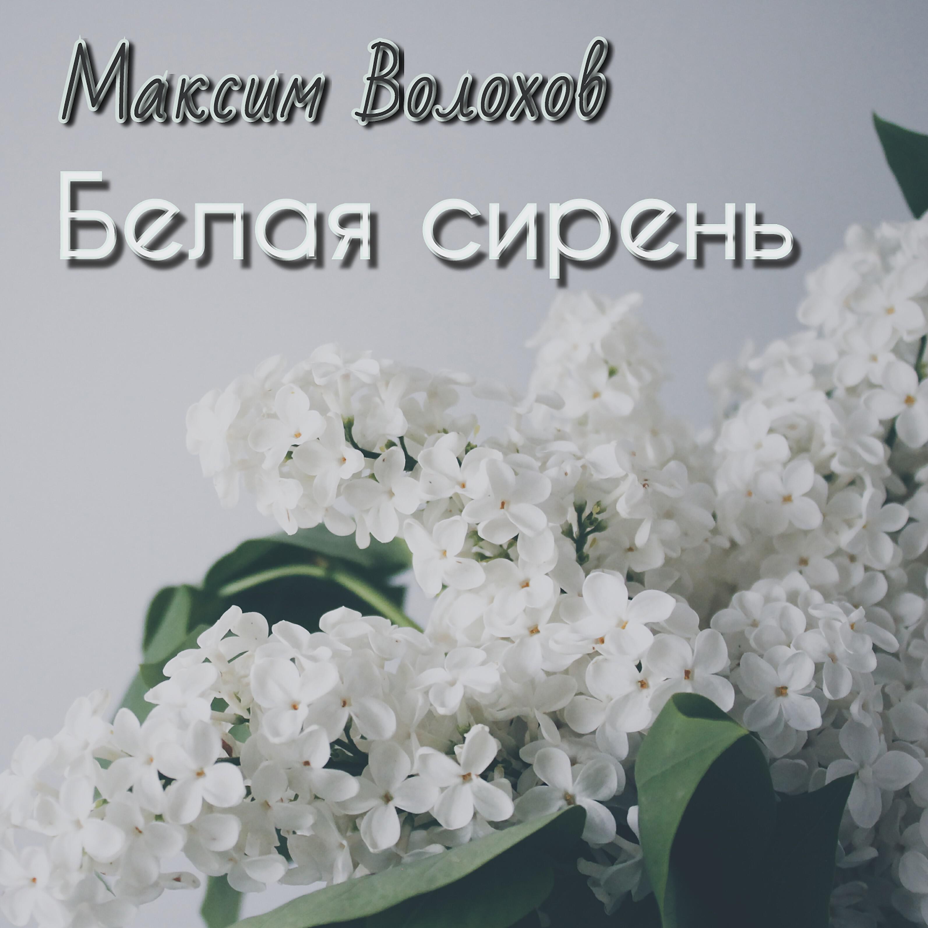 Максим Волохов - Всё разделим пополам