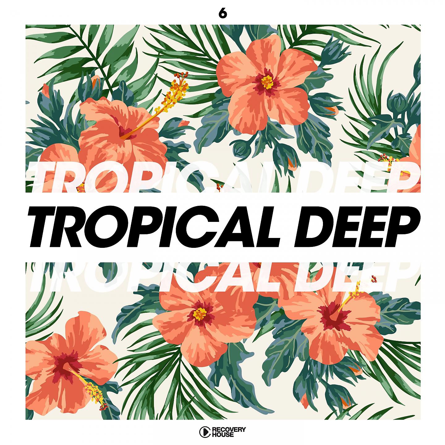 Постер альбома Tropical Deep, Vol. 6
