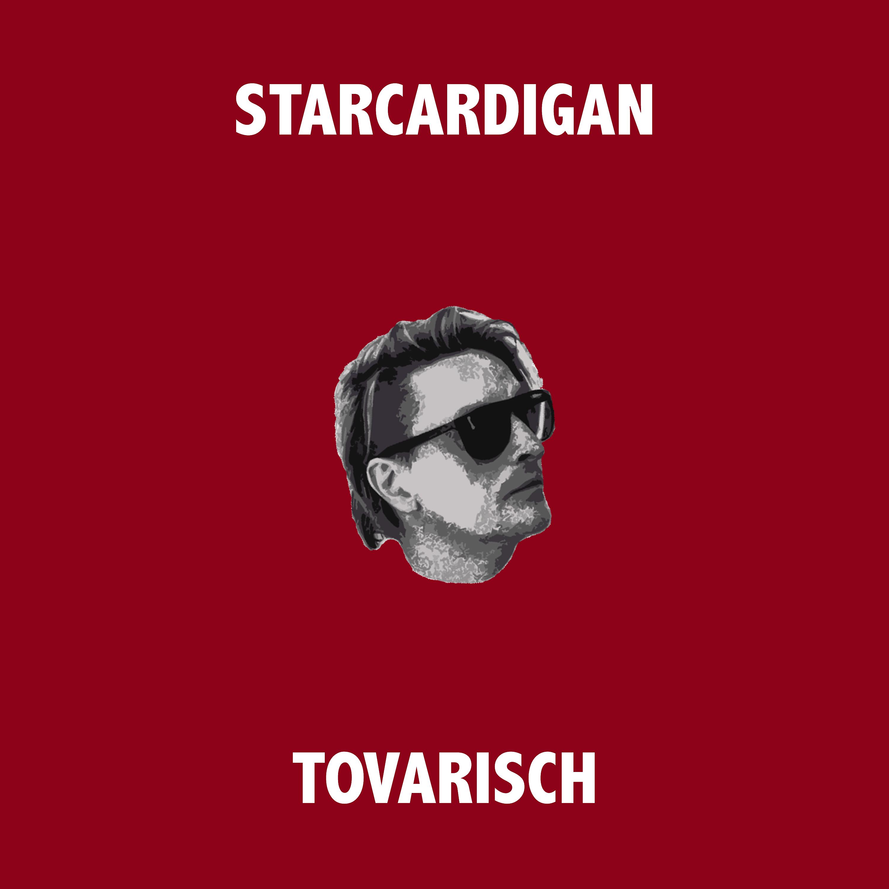 Постер альбома Tovarisch