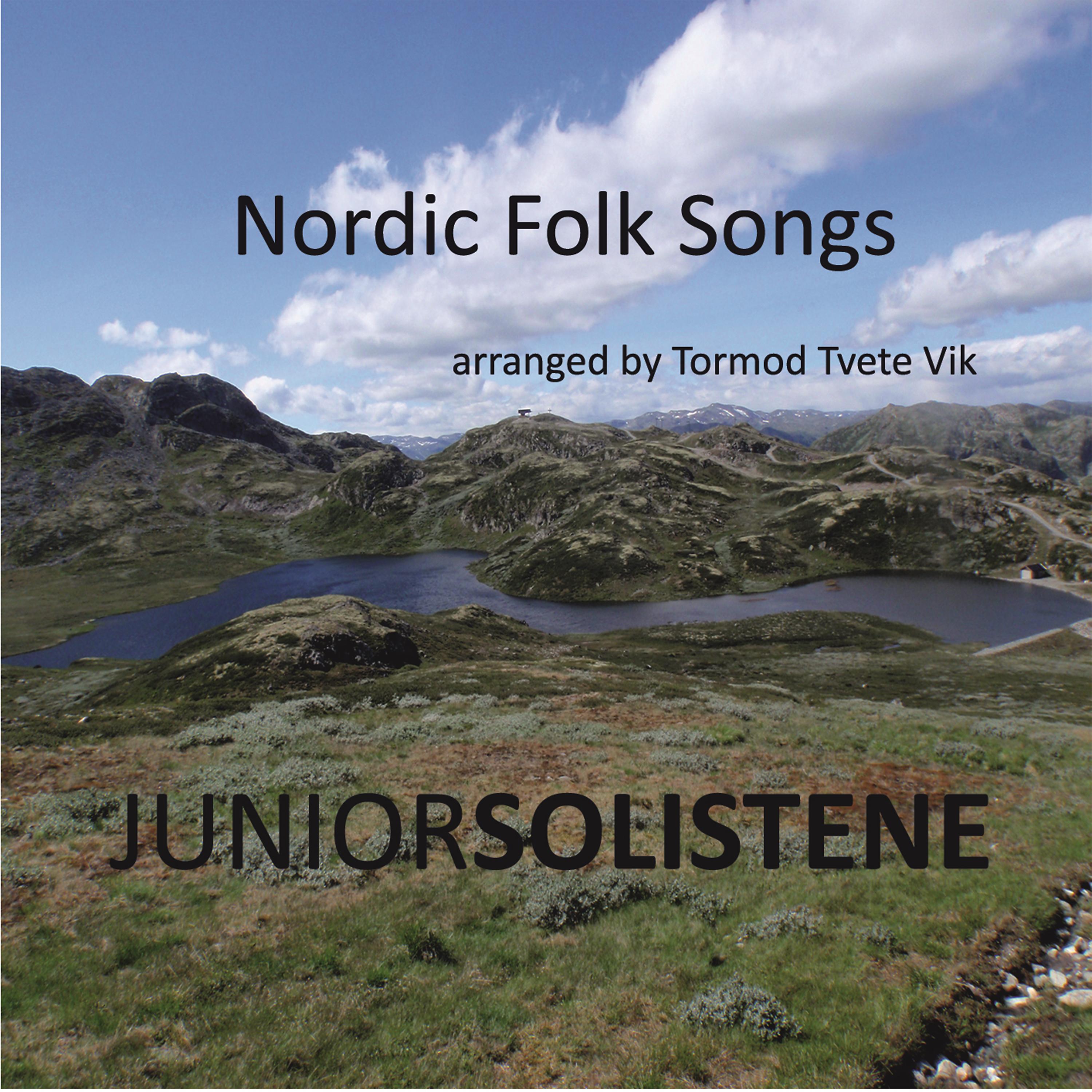 Постер альбома Nordic Folk Songs
