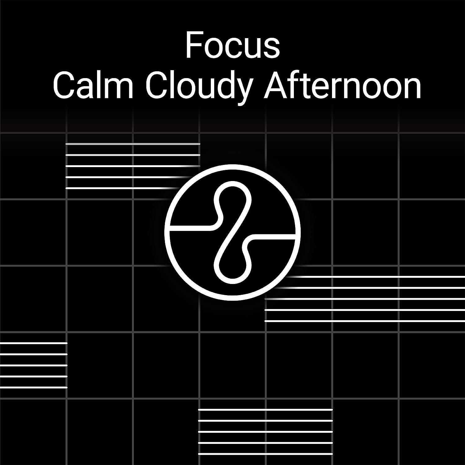 Постер альбома Focus: Calm Cloudy Afternoon