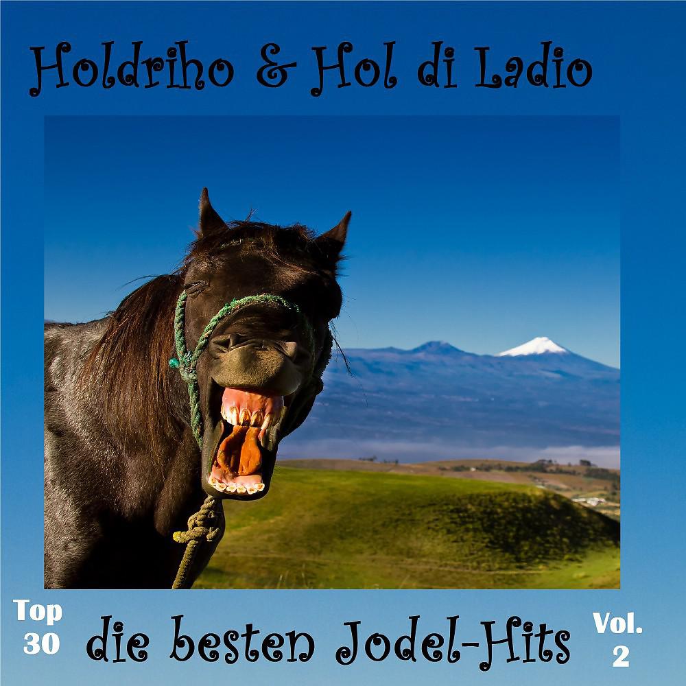 Постер альбома Top 30: Holdriho & Hol di Ladio - Die besten Jodel-Hits, Vol. 2