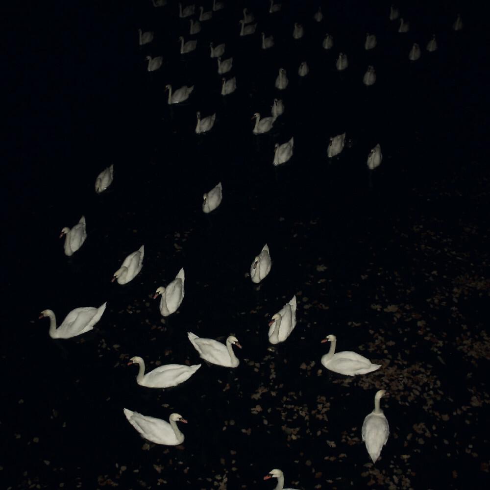 Atlantik - Onkalo